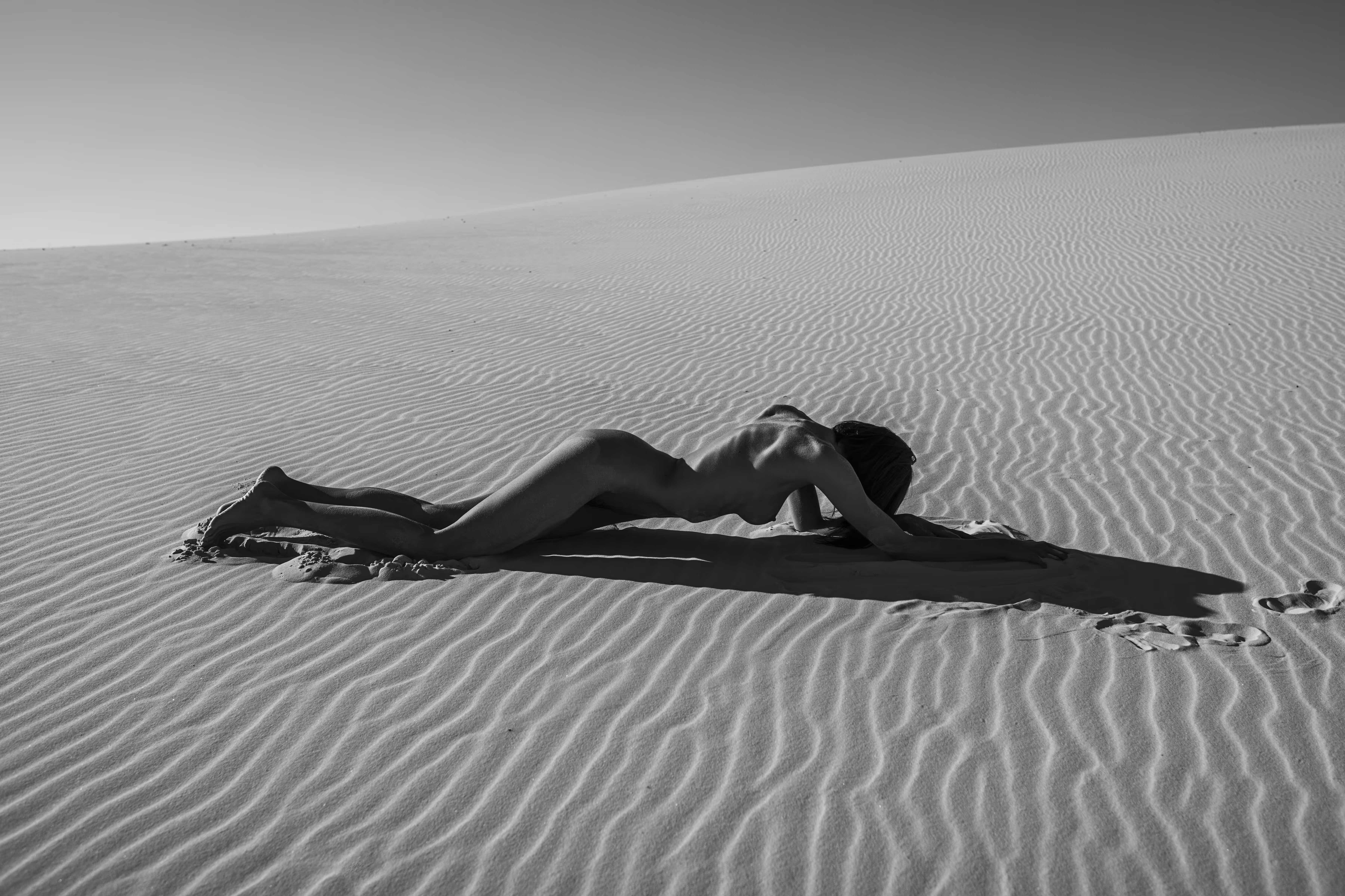 Heart of the Desert 
