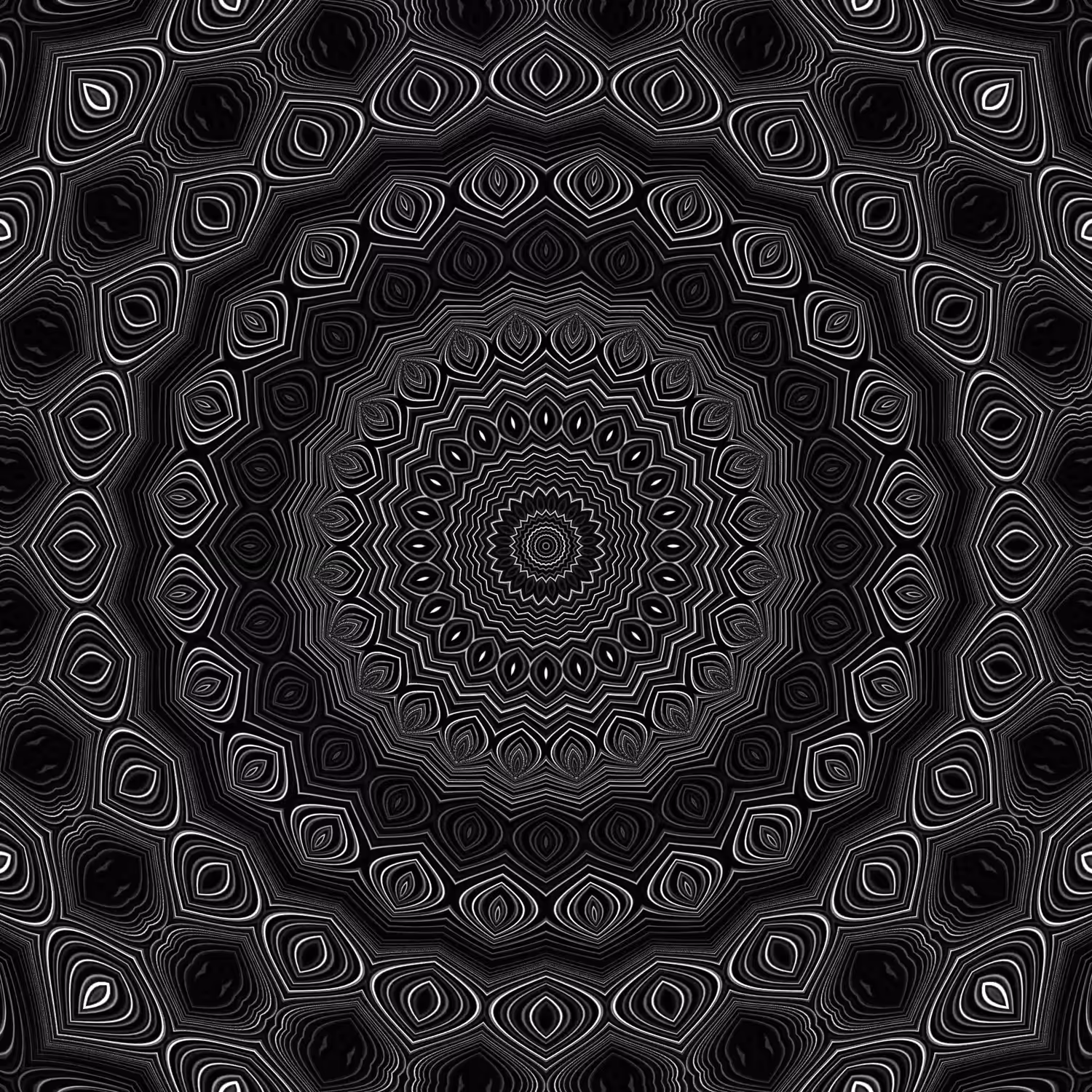 orbital warp 25