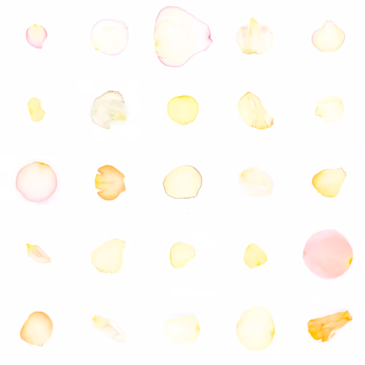 Infinite Petals 5x5#21287