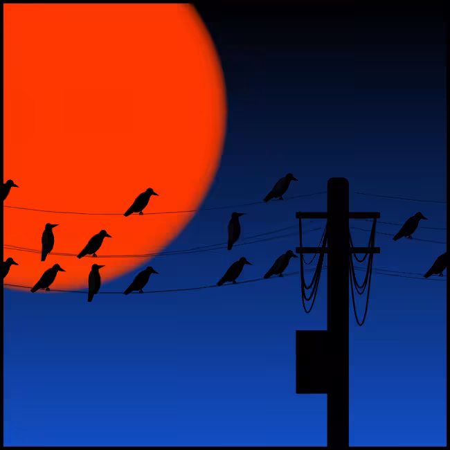 Crows #13