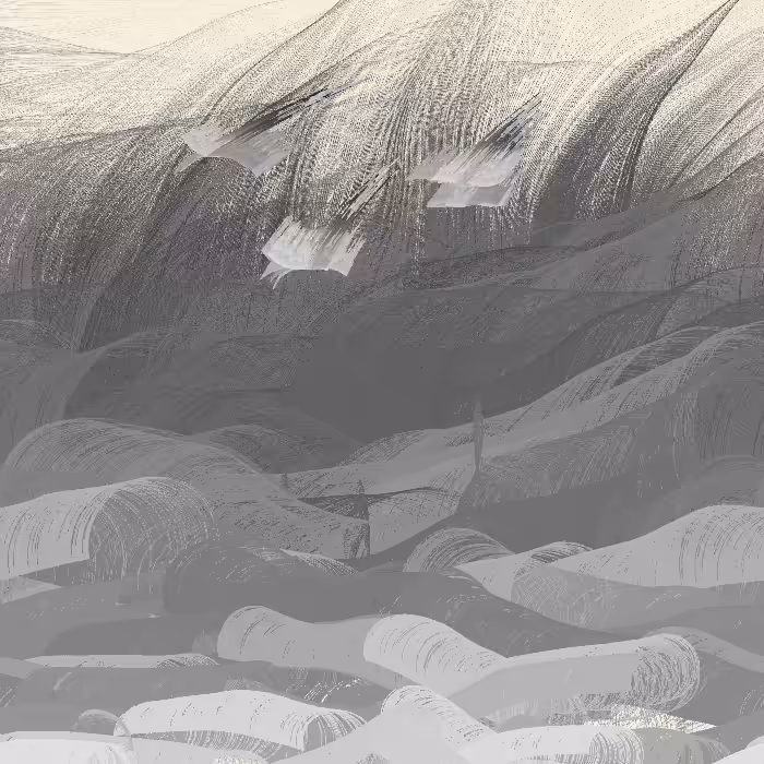 Valley of Ashes #107