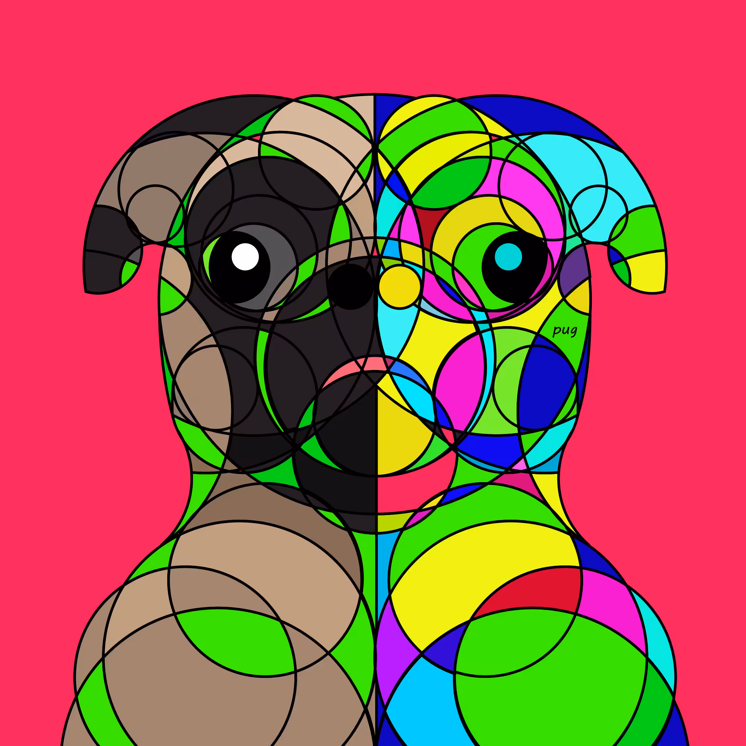Animal Circle Illustration #011 (color)