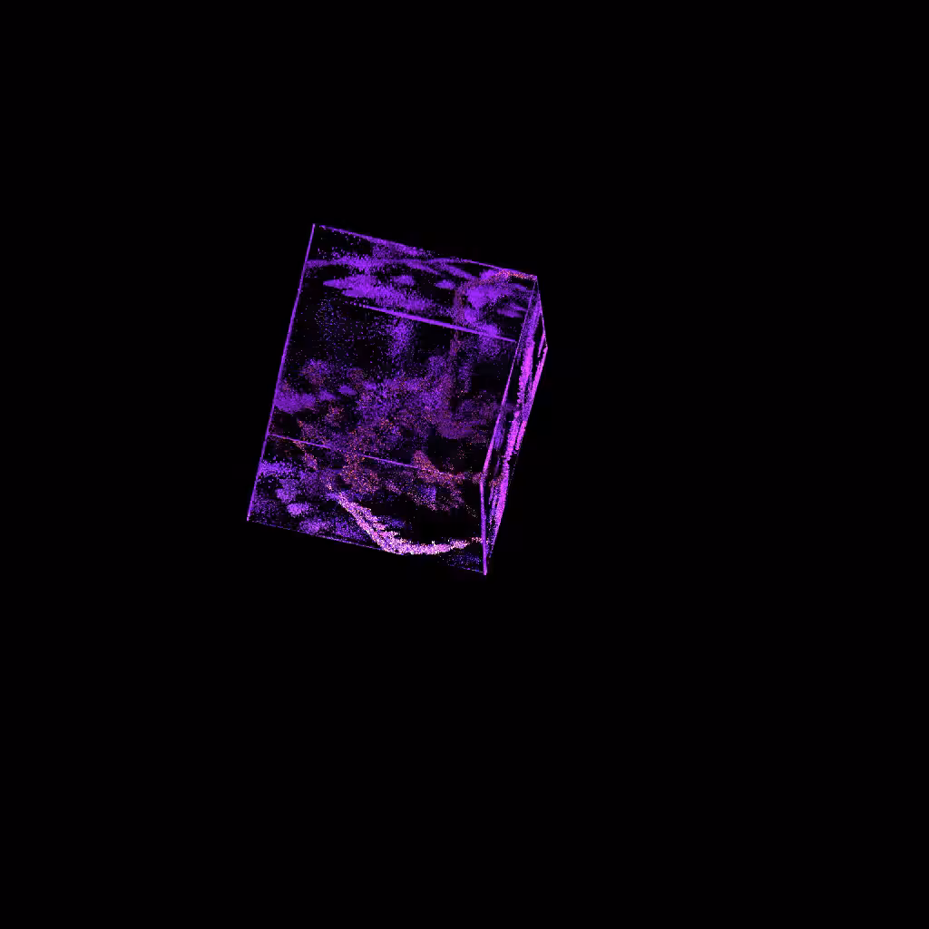 Micro Verse #16
