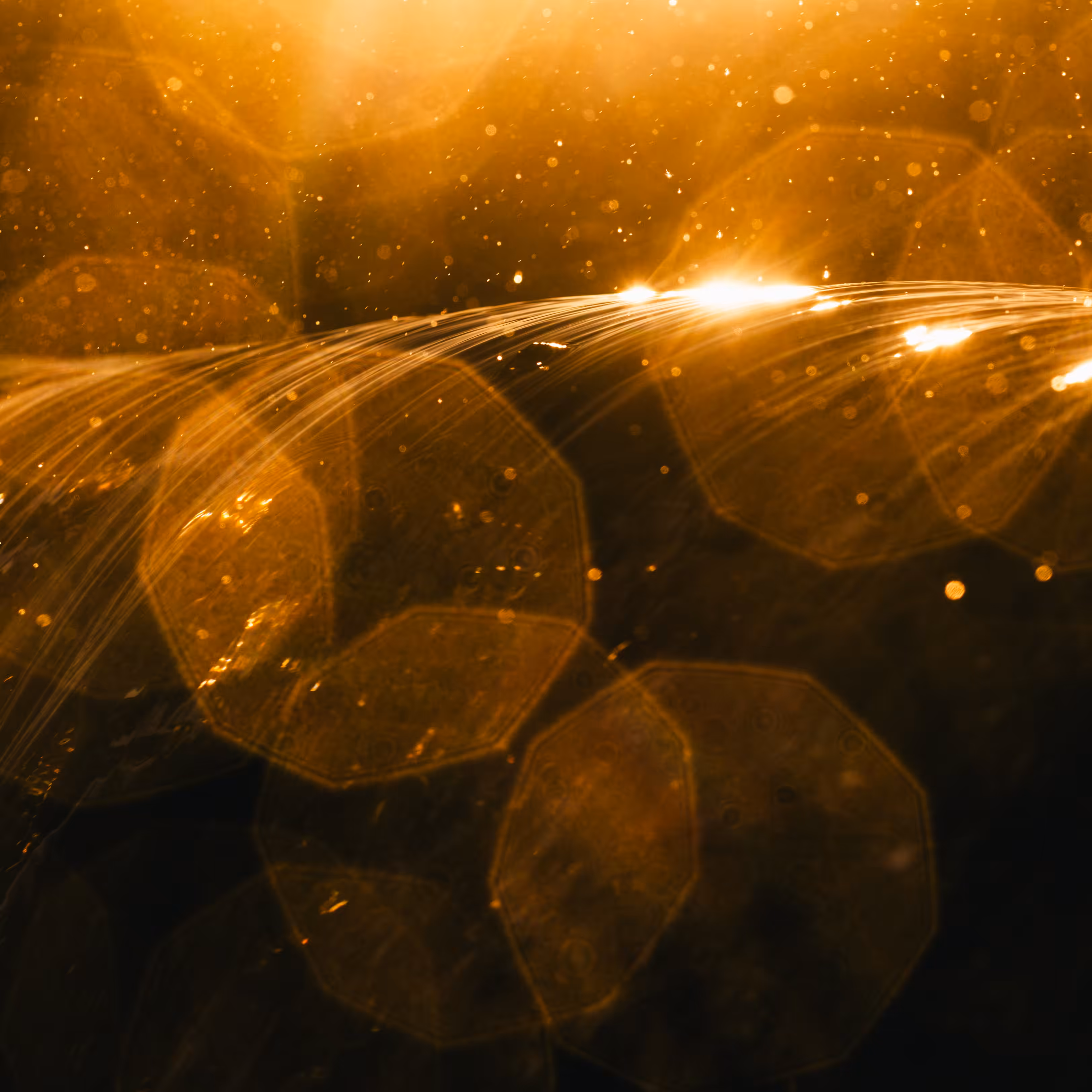 September's Embers 