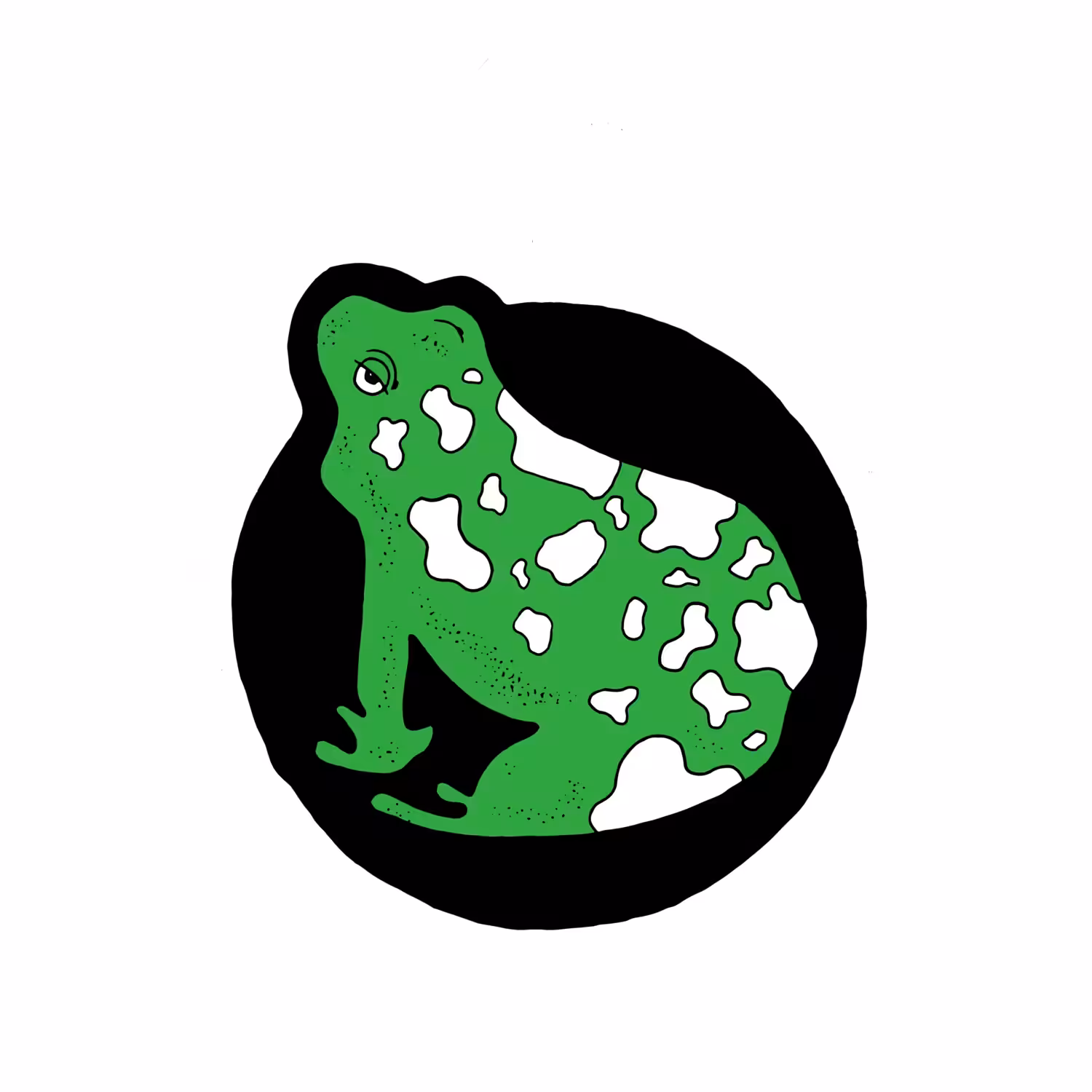 Magic Frog