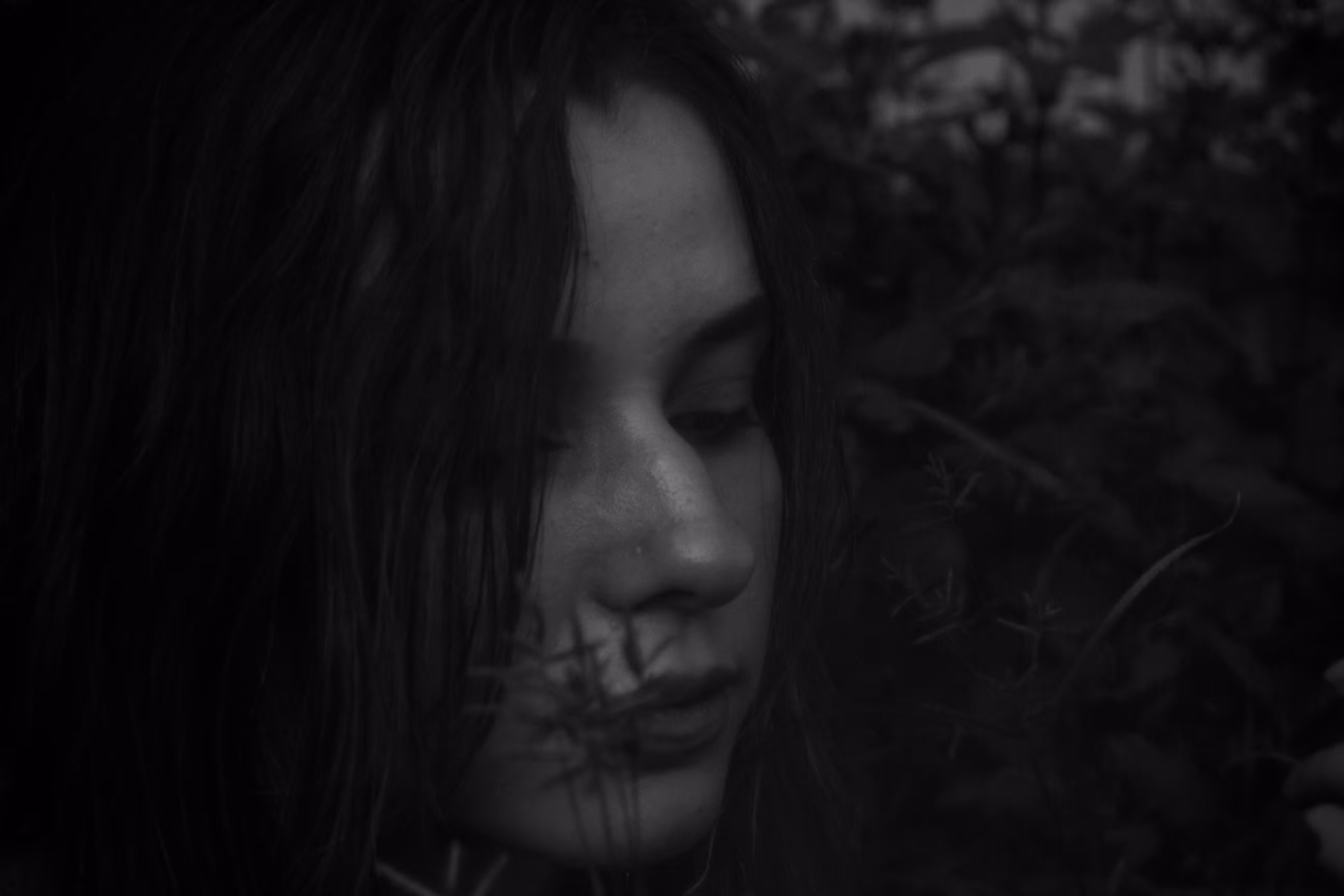field spirit