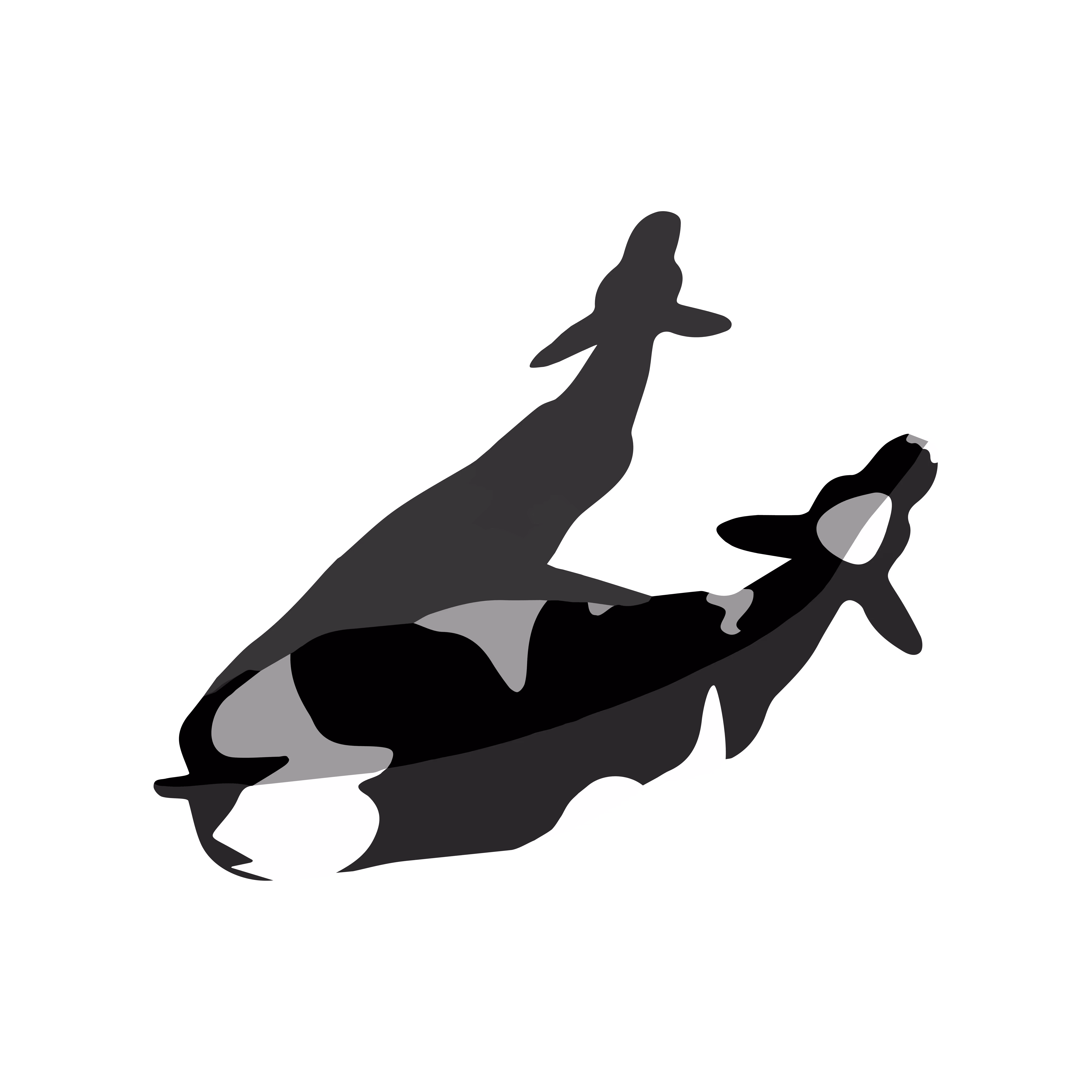 c0w