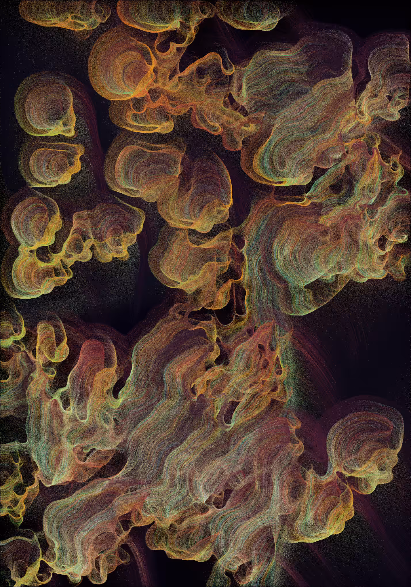 Bloom #31