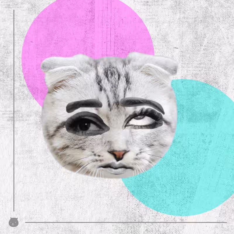 Kittenstein #67
