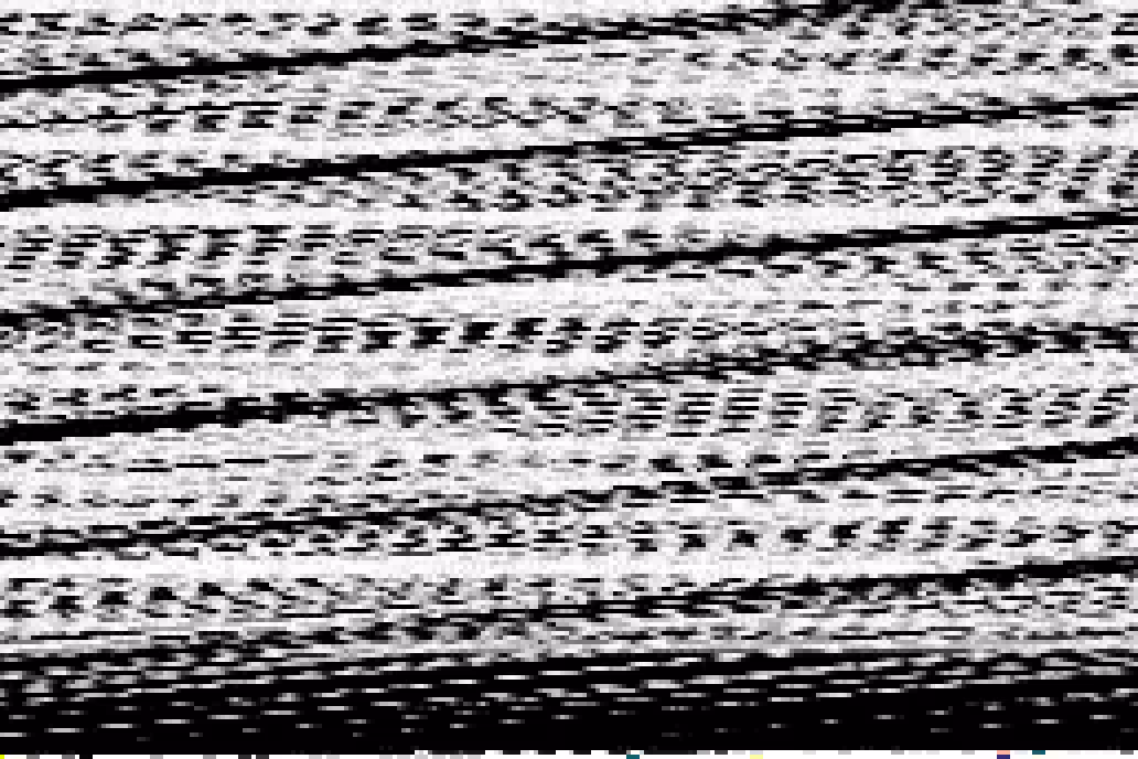 041 of 366 Image 04