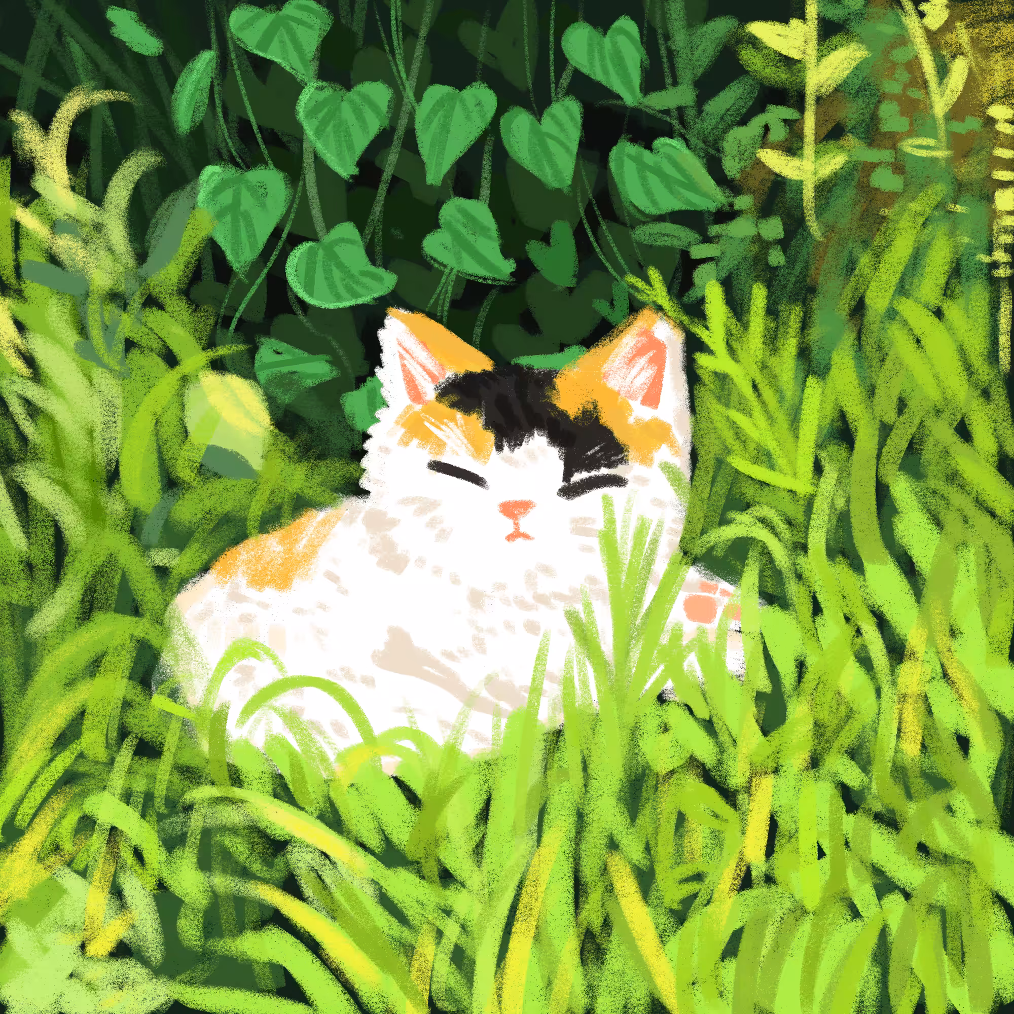 cat sleeping in garden