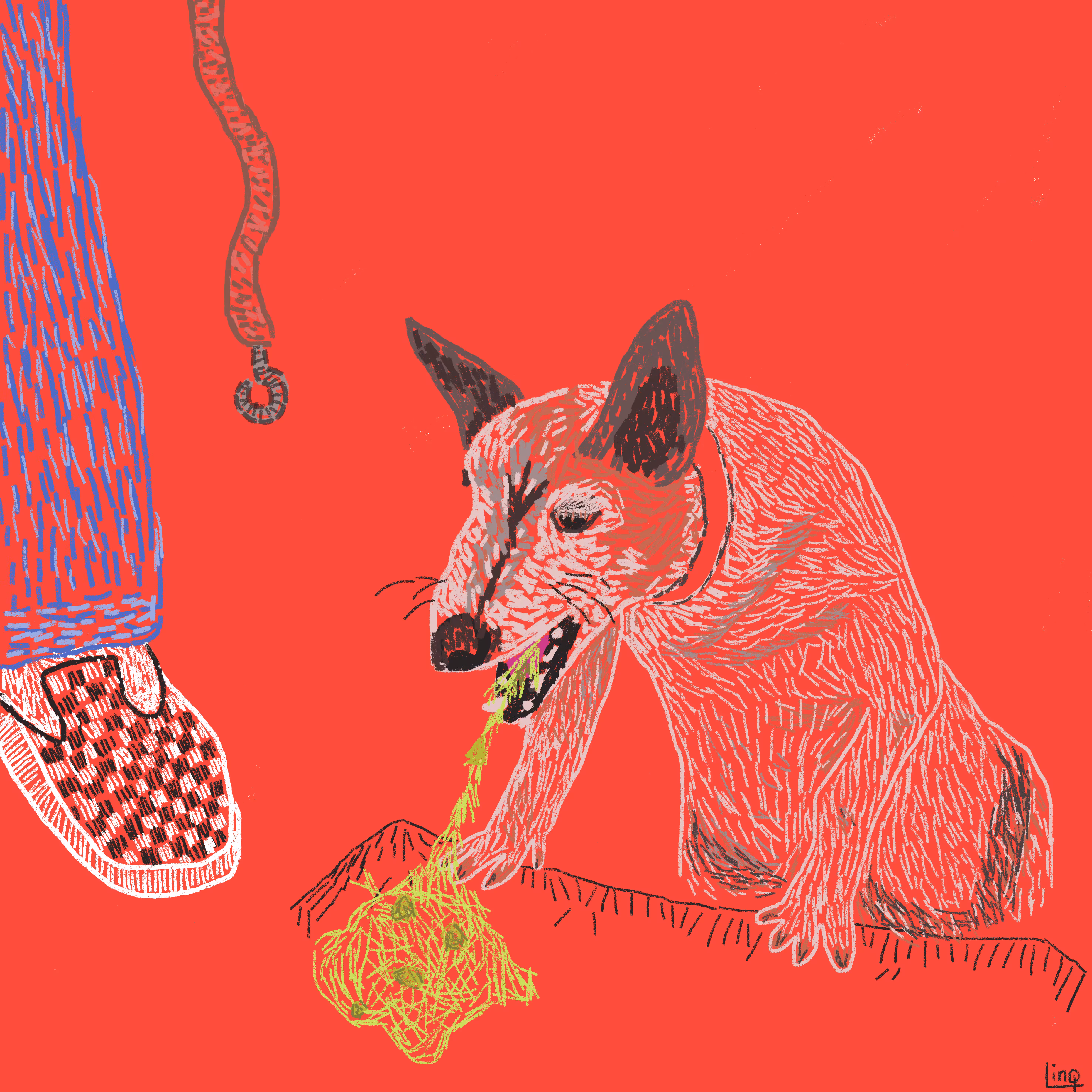 Capharnaüm: Dog's Life