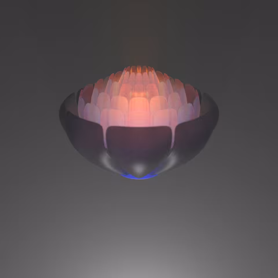 digiBlossom02