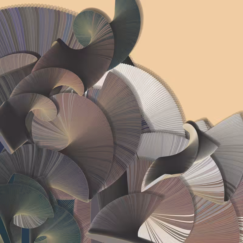 Seashells #34