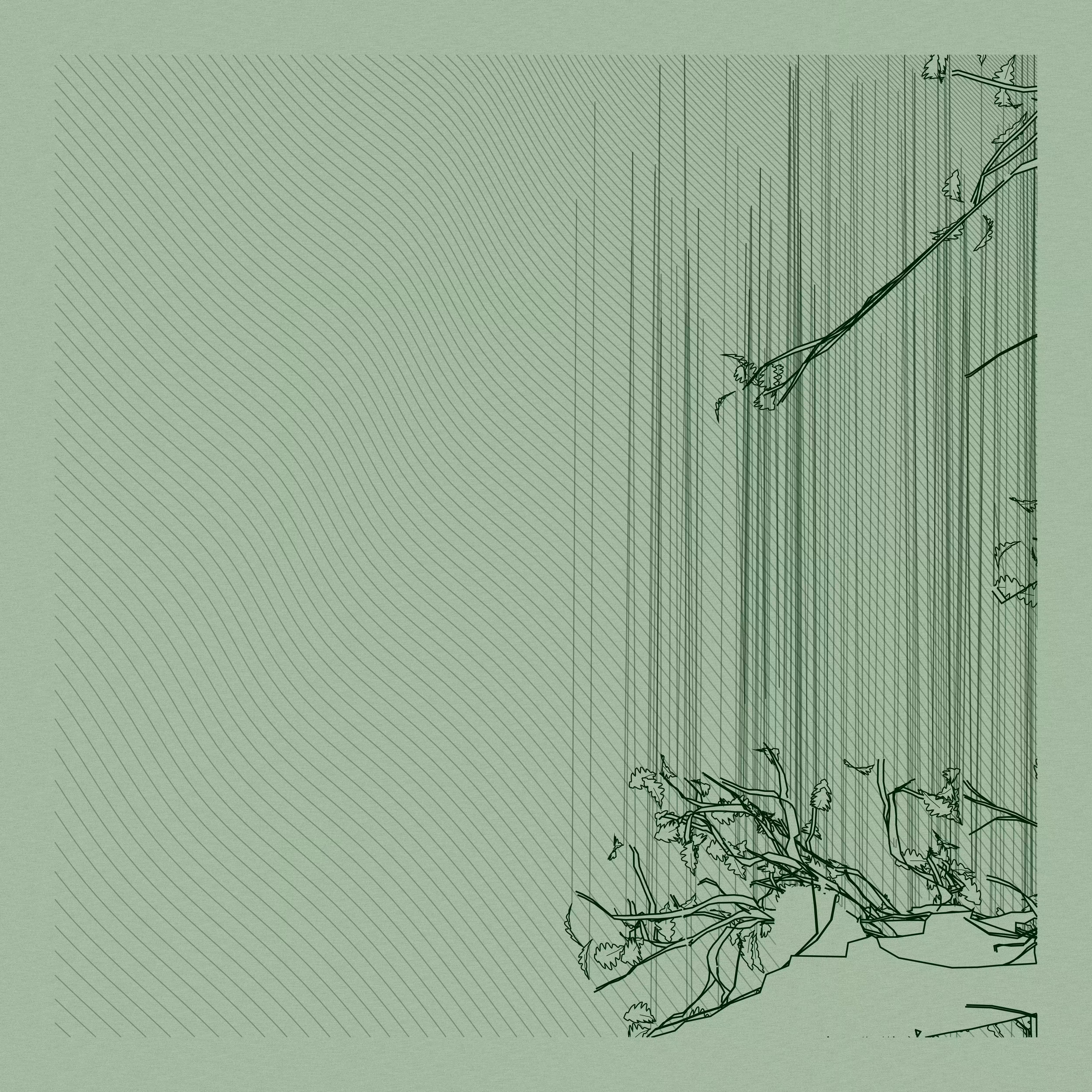 A Bugged Forest #459