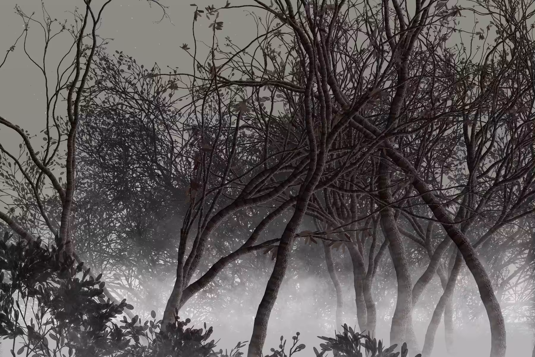 Morning Mist #212