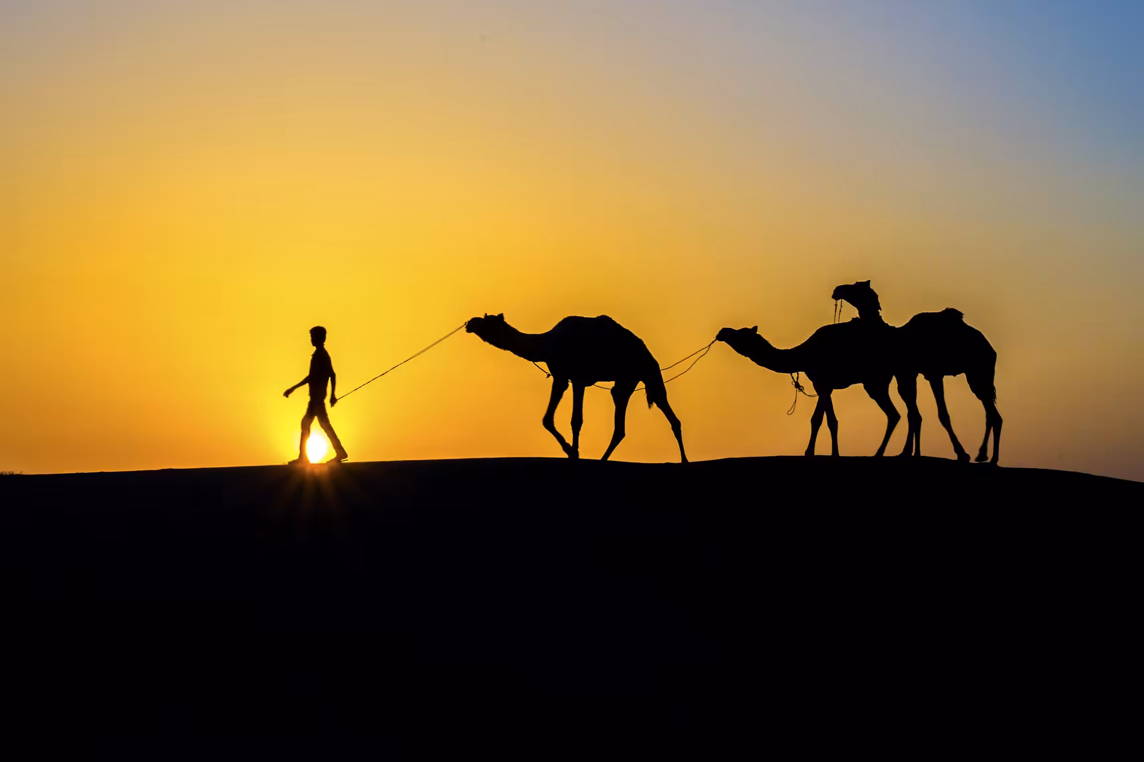 Illuminating silhouette