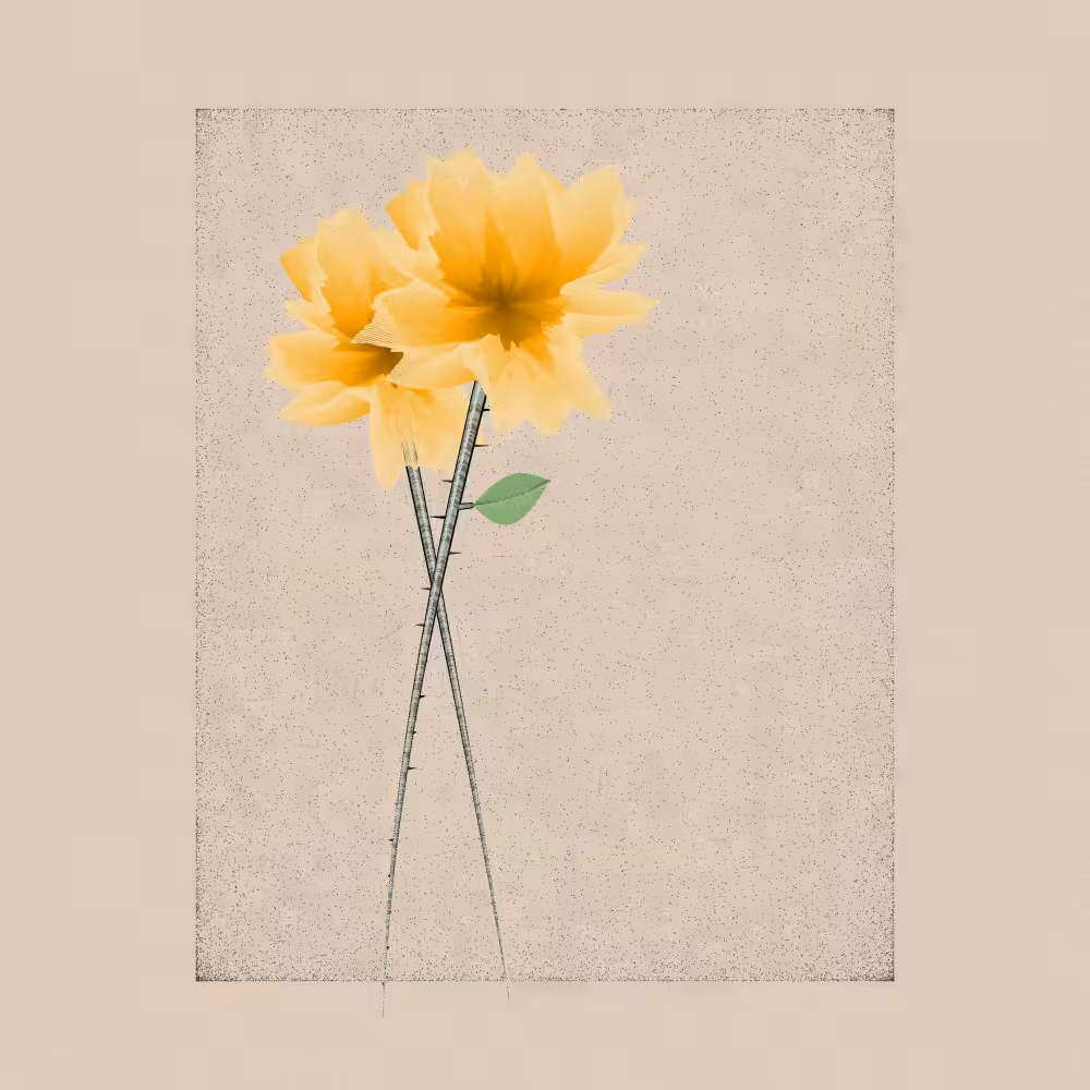Magnolia #48