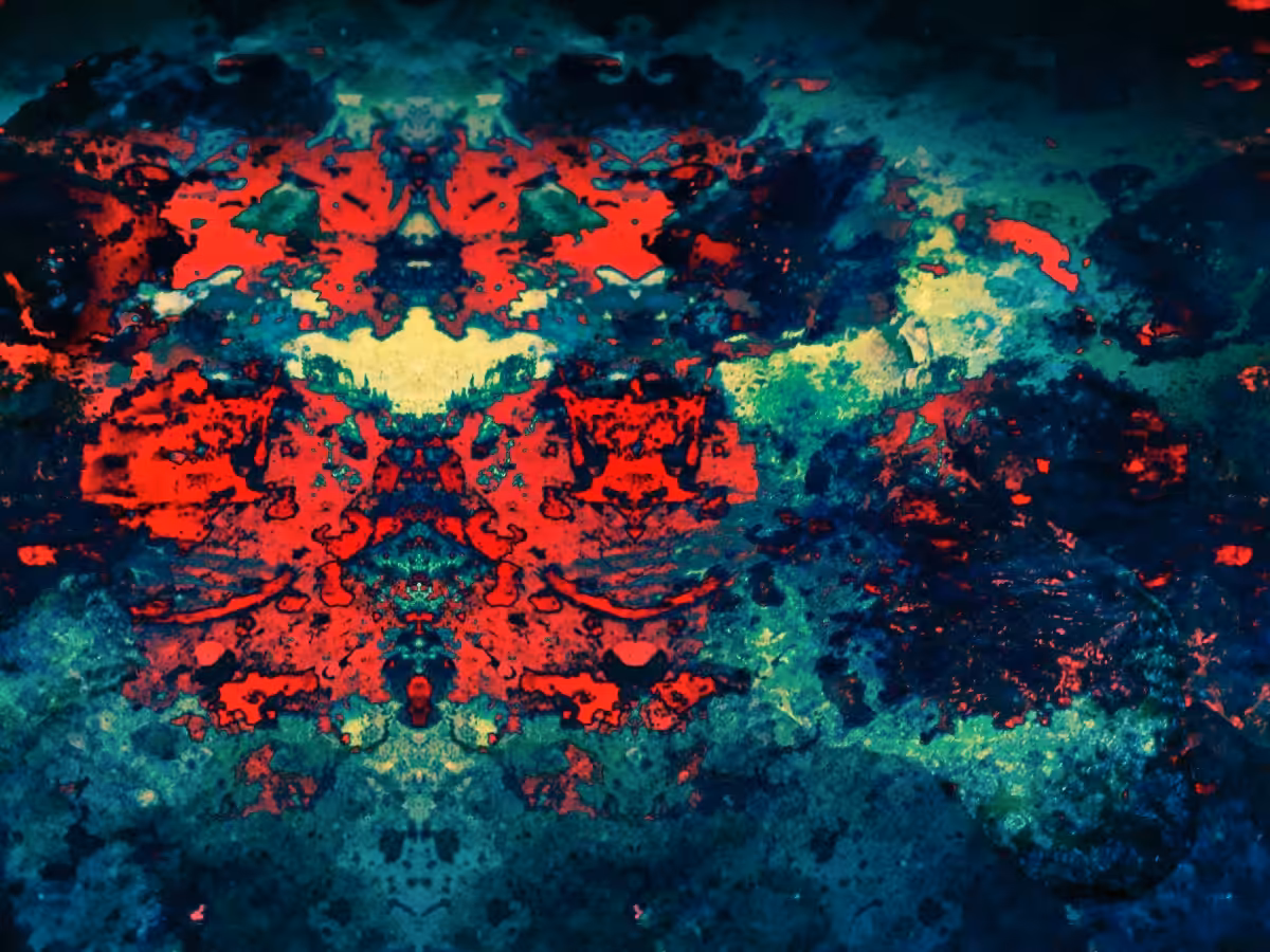 Finding III
