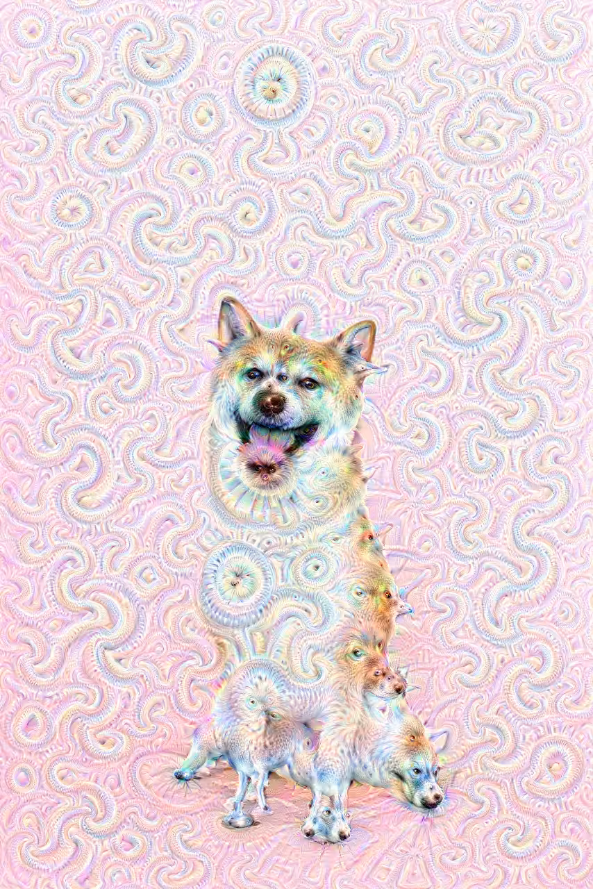 007 - Shiba Coin Trip