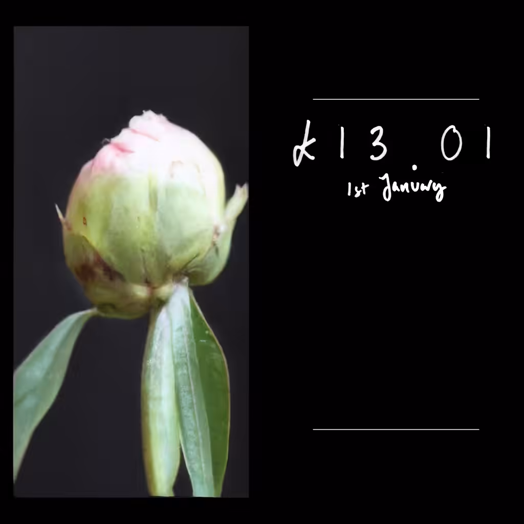 Price Per Stem 25