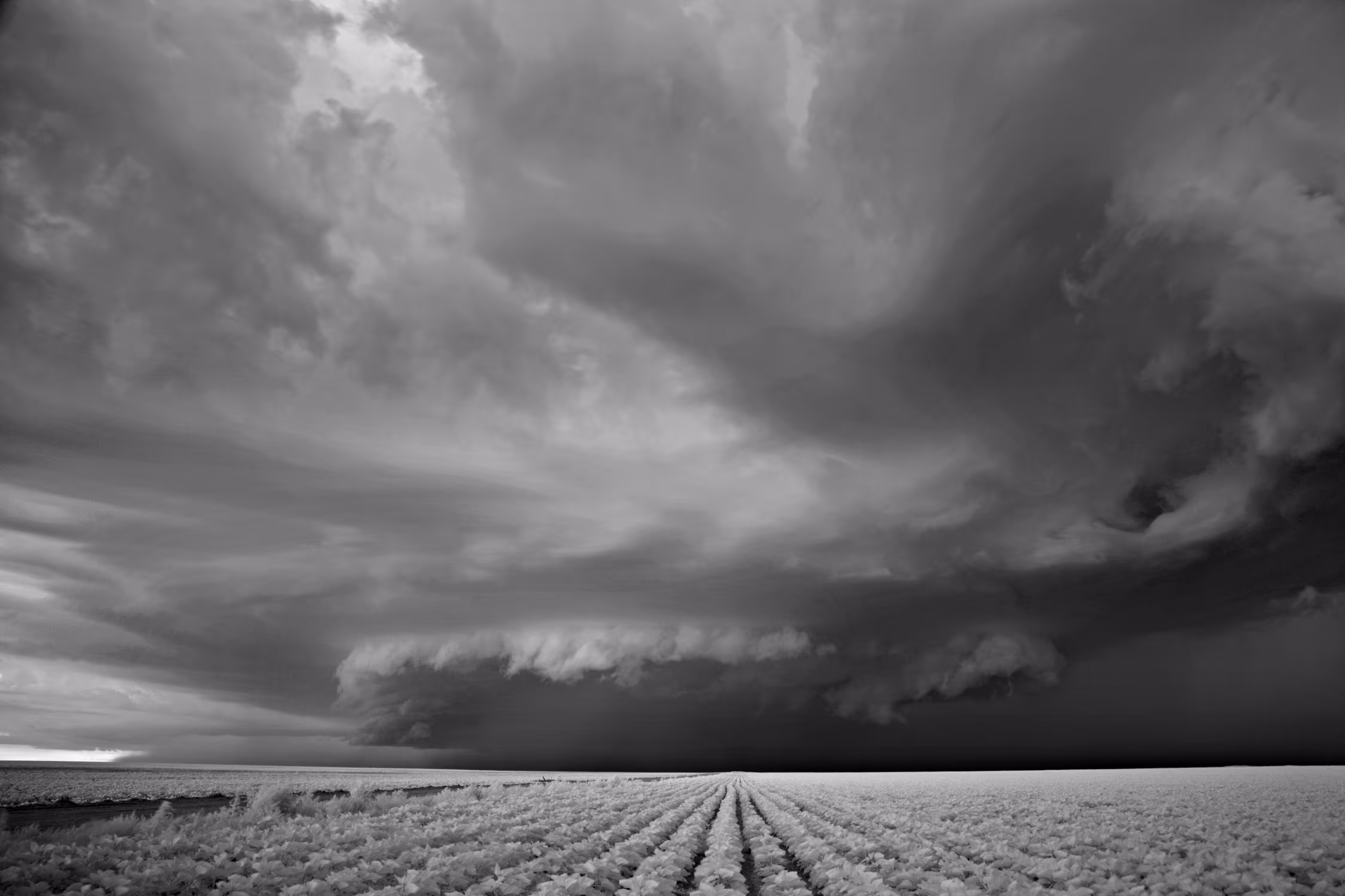 Storms - _0789