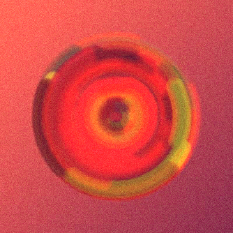 Wisp #749