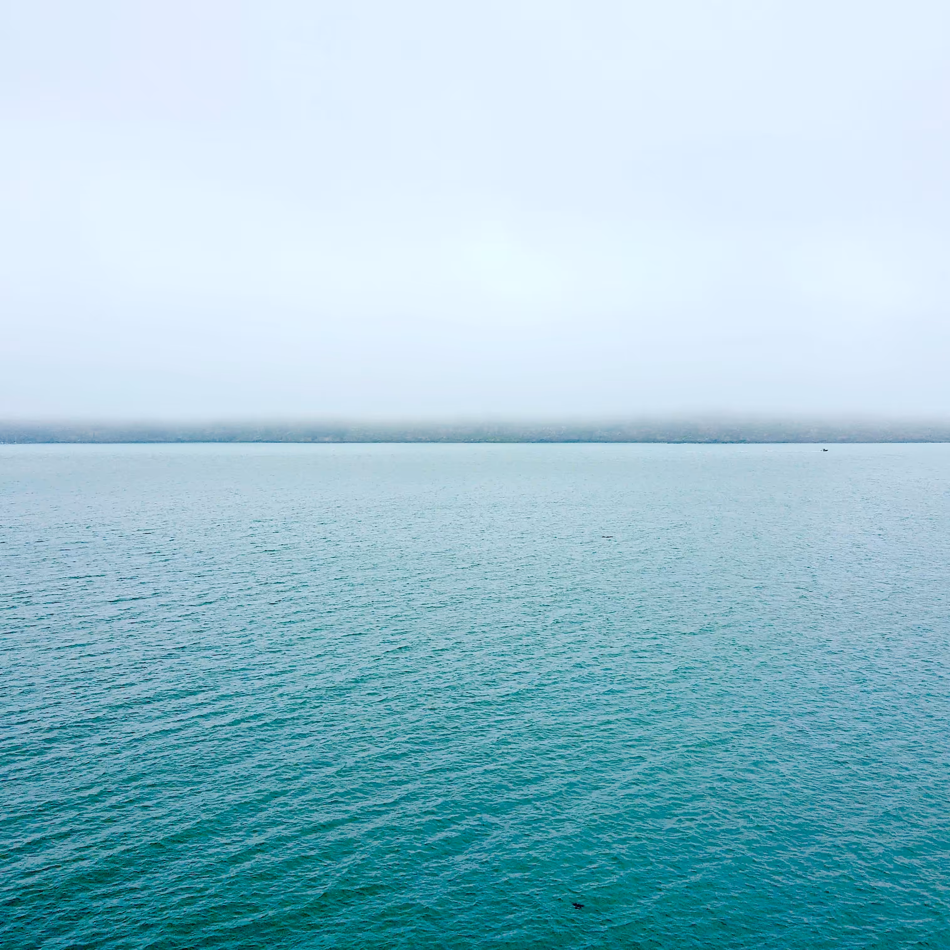 calm