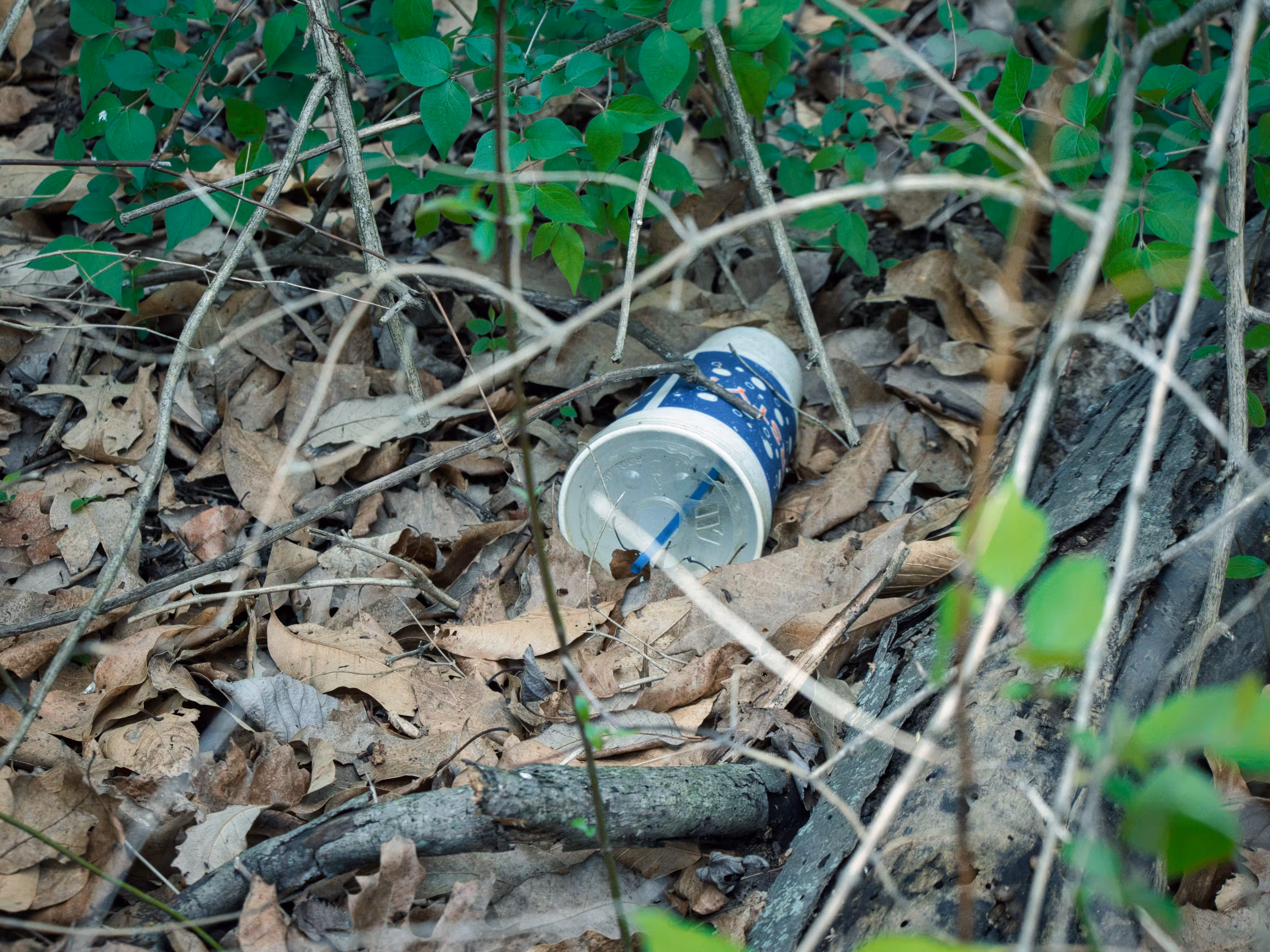 Trash photography