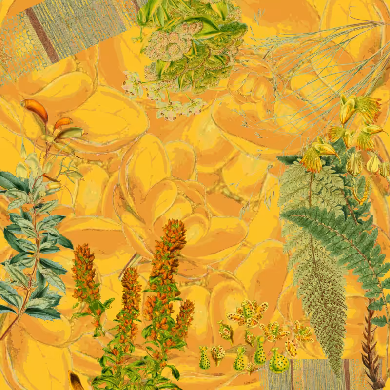 future flora from Antarctica's past #53