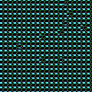 CGA Safari #103