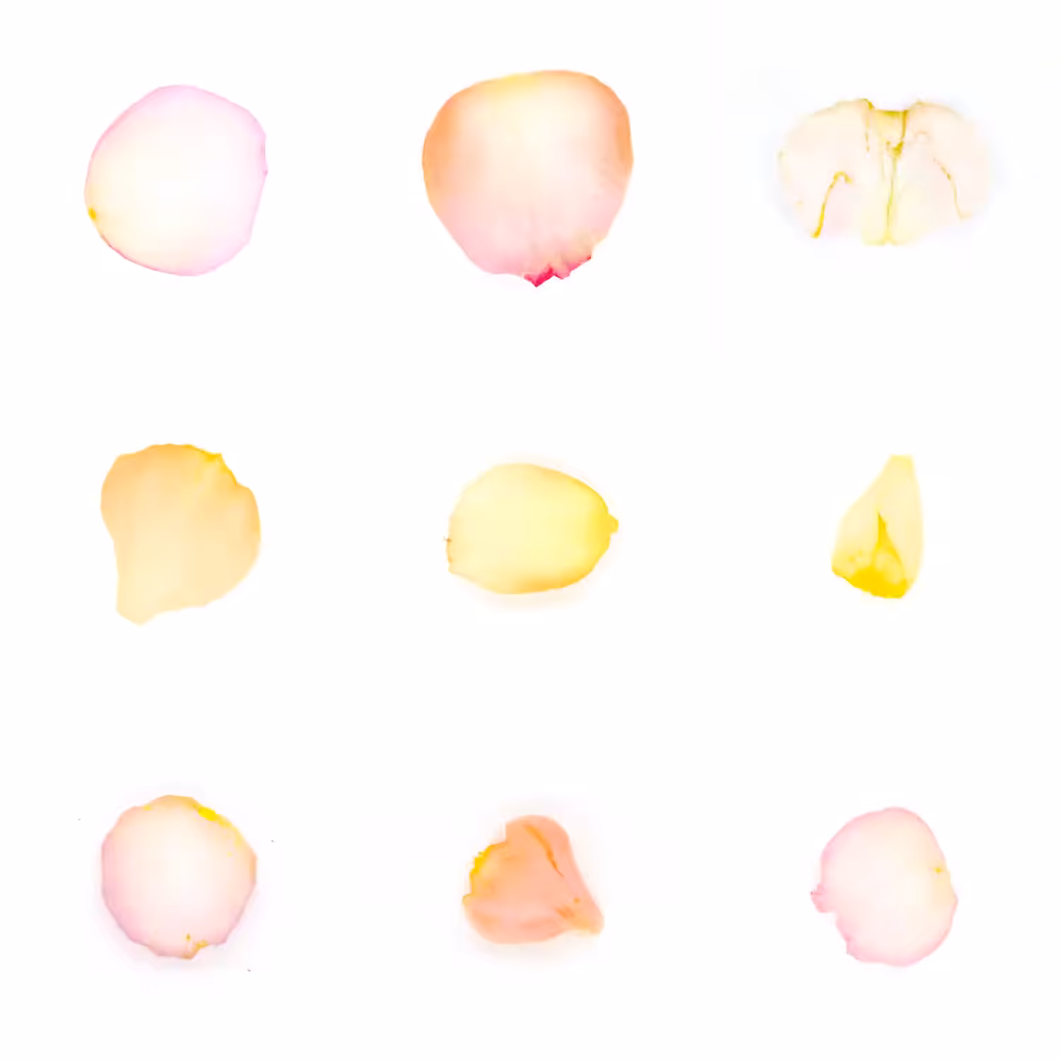 Infinite Petals 3x3#3618