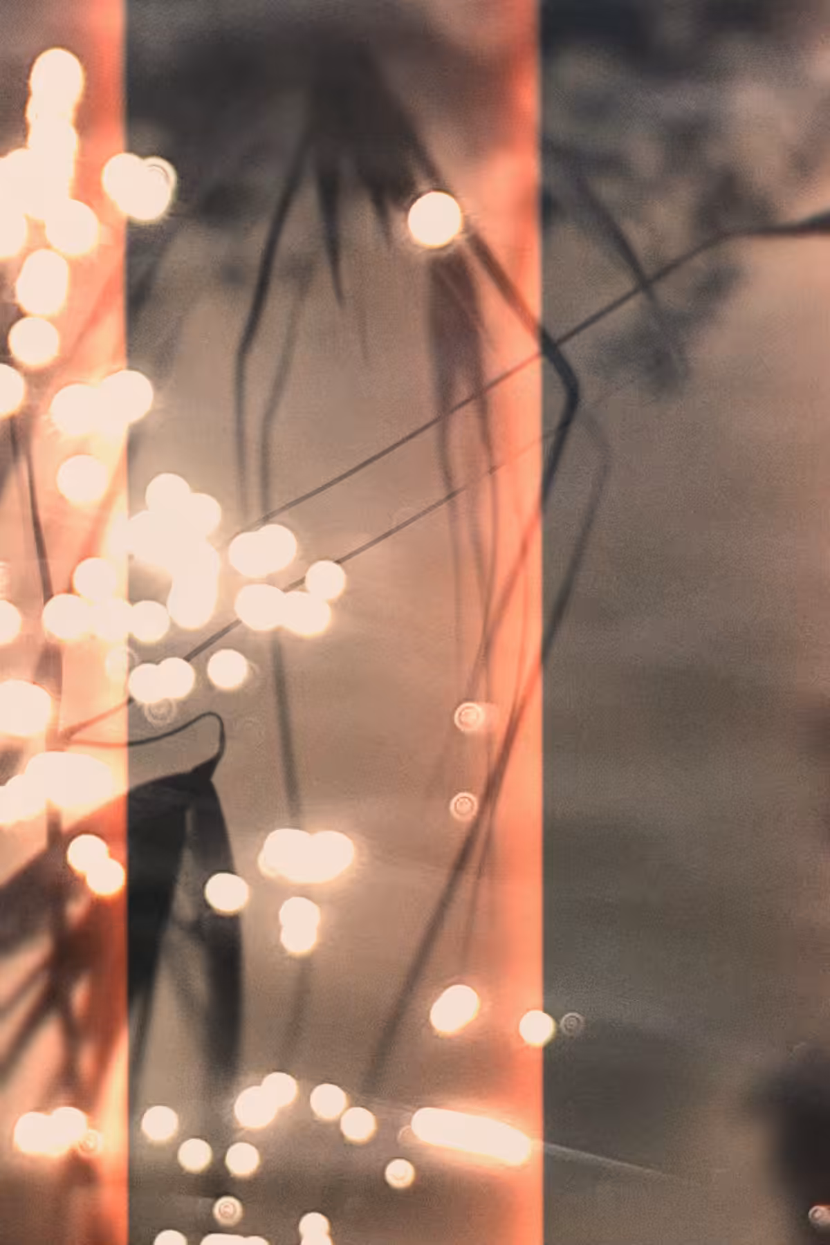 Diaries #57