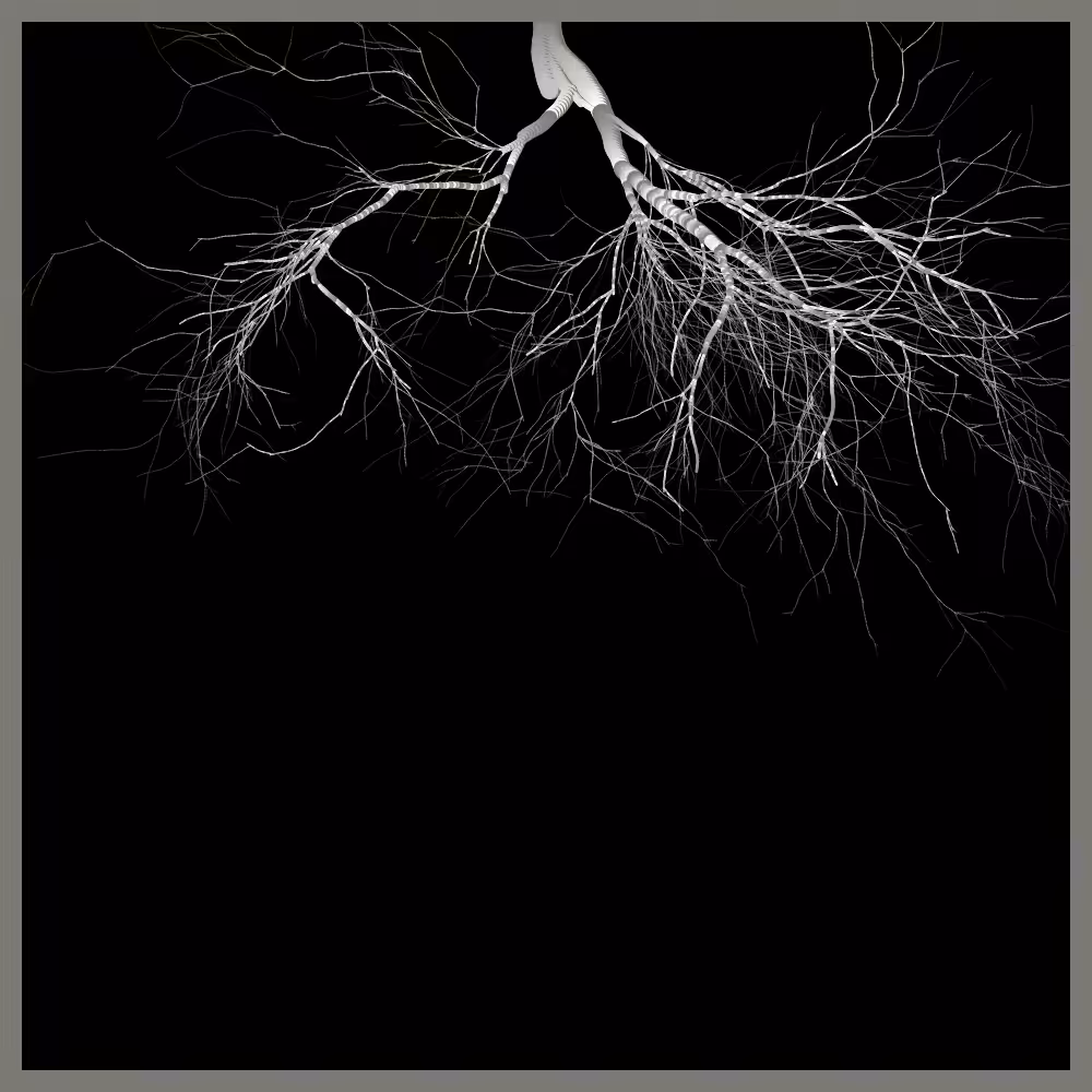 Arbres suspendus #20