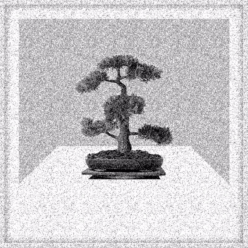 Bonsai Bonanza #380
