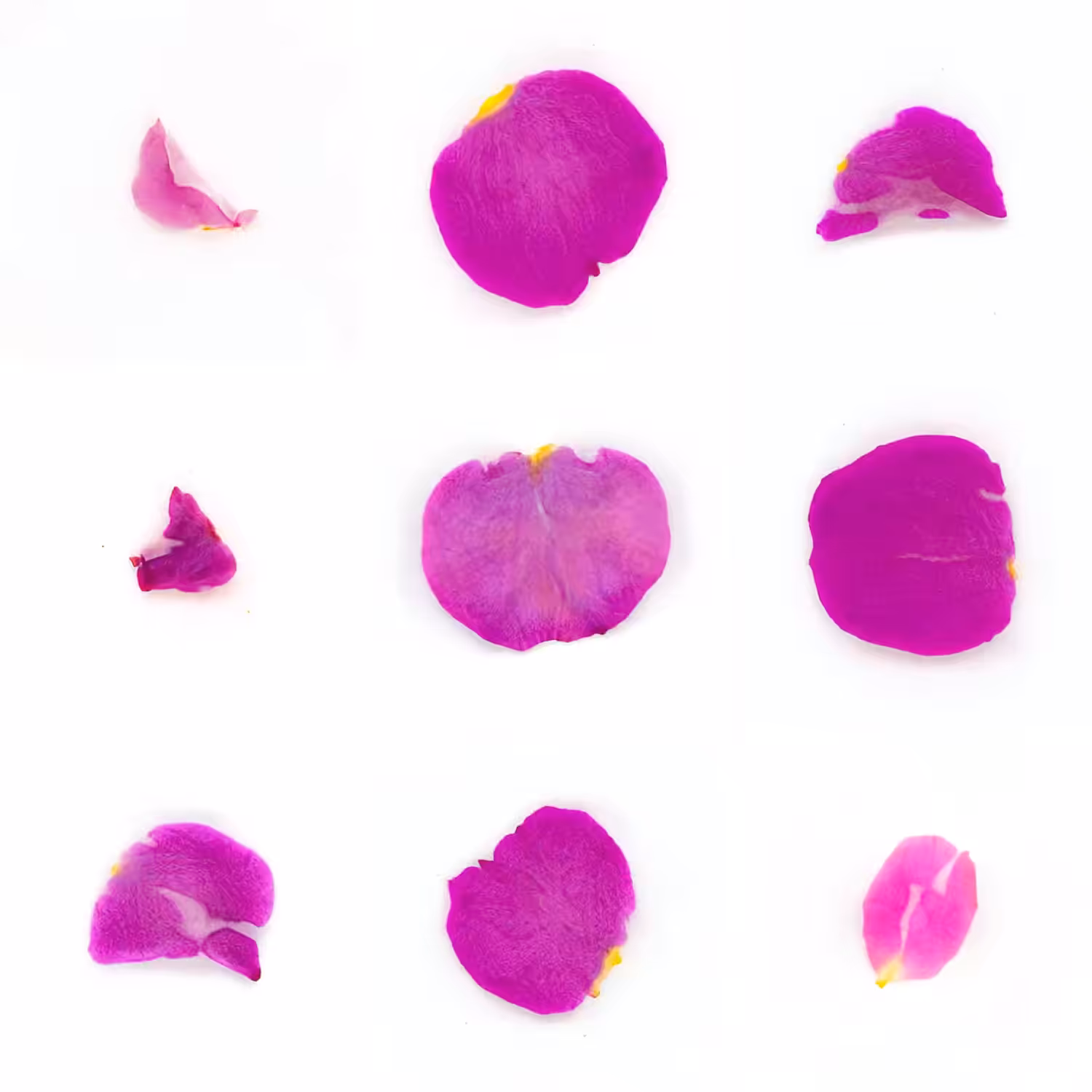 Infinite Petals 3x3#2366