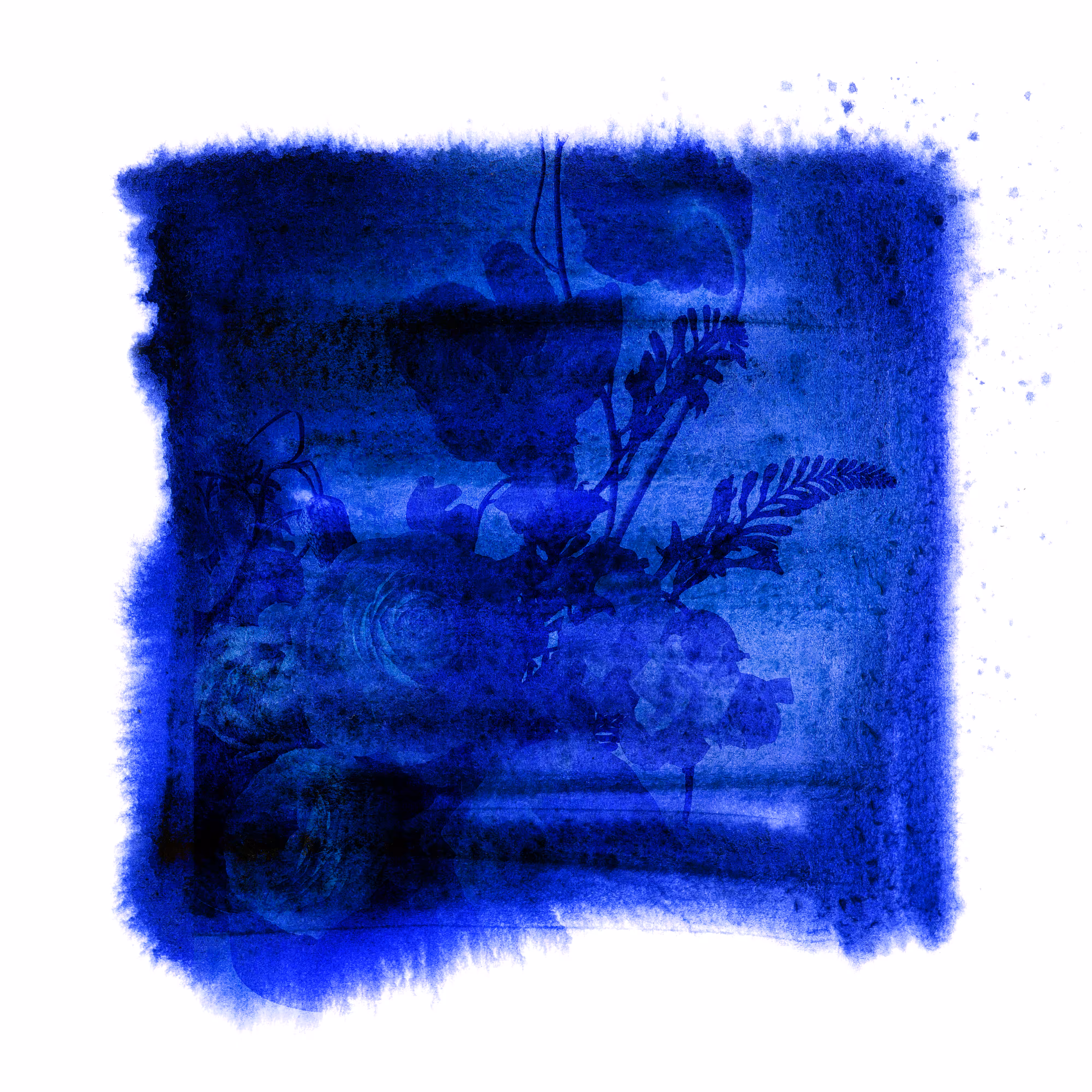 Blues garden #12