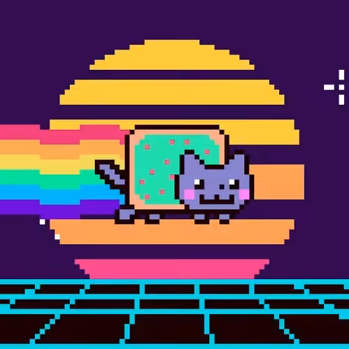 Cat #1