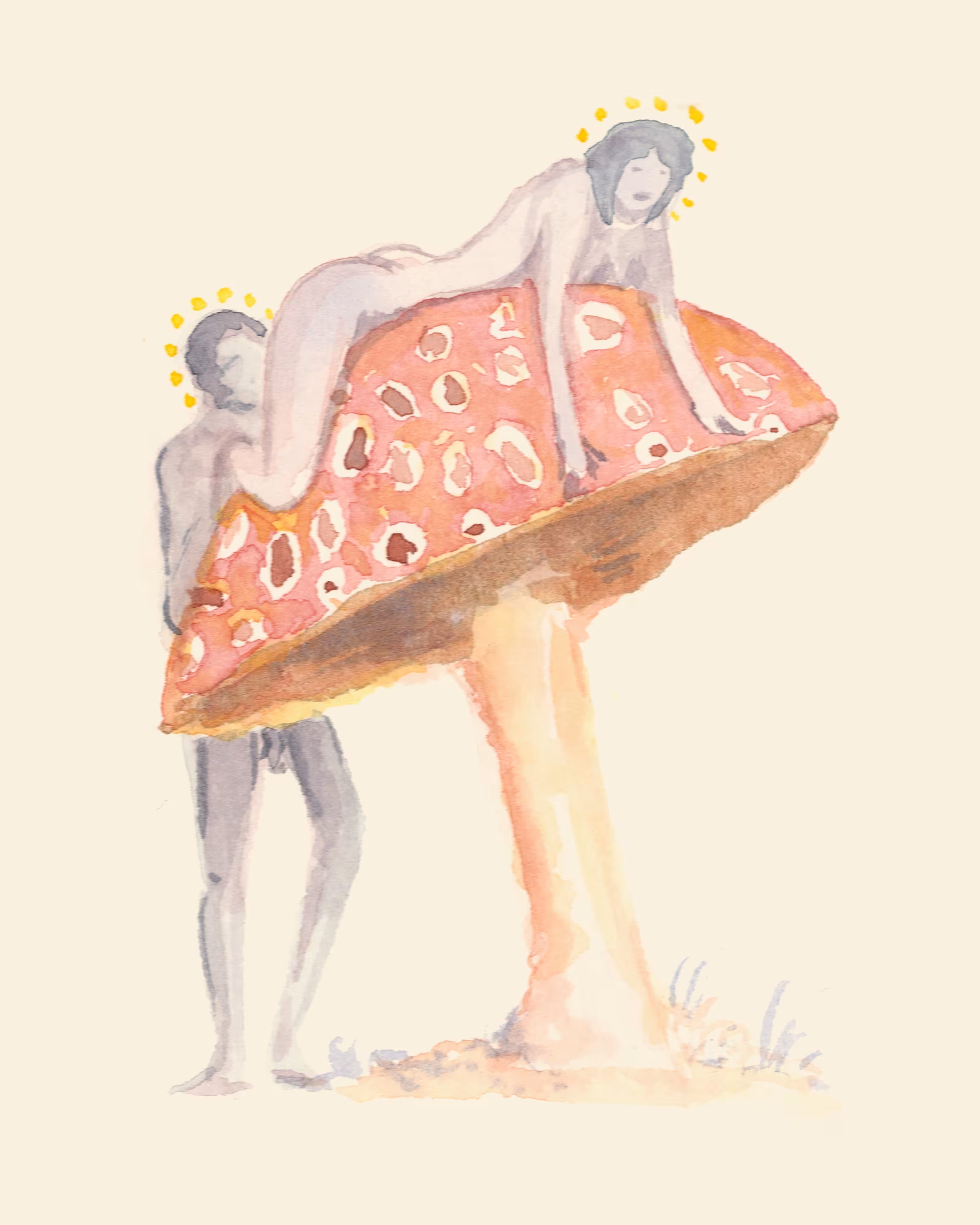 Alphashroom - Amanita/ A-Man-Eat-A