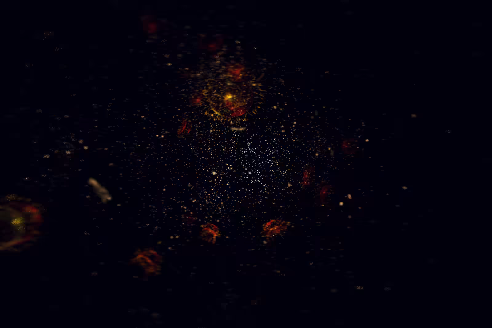 Turtle Vision #198
