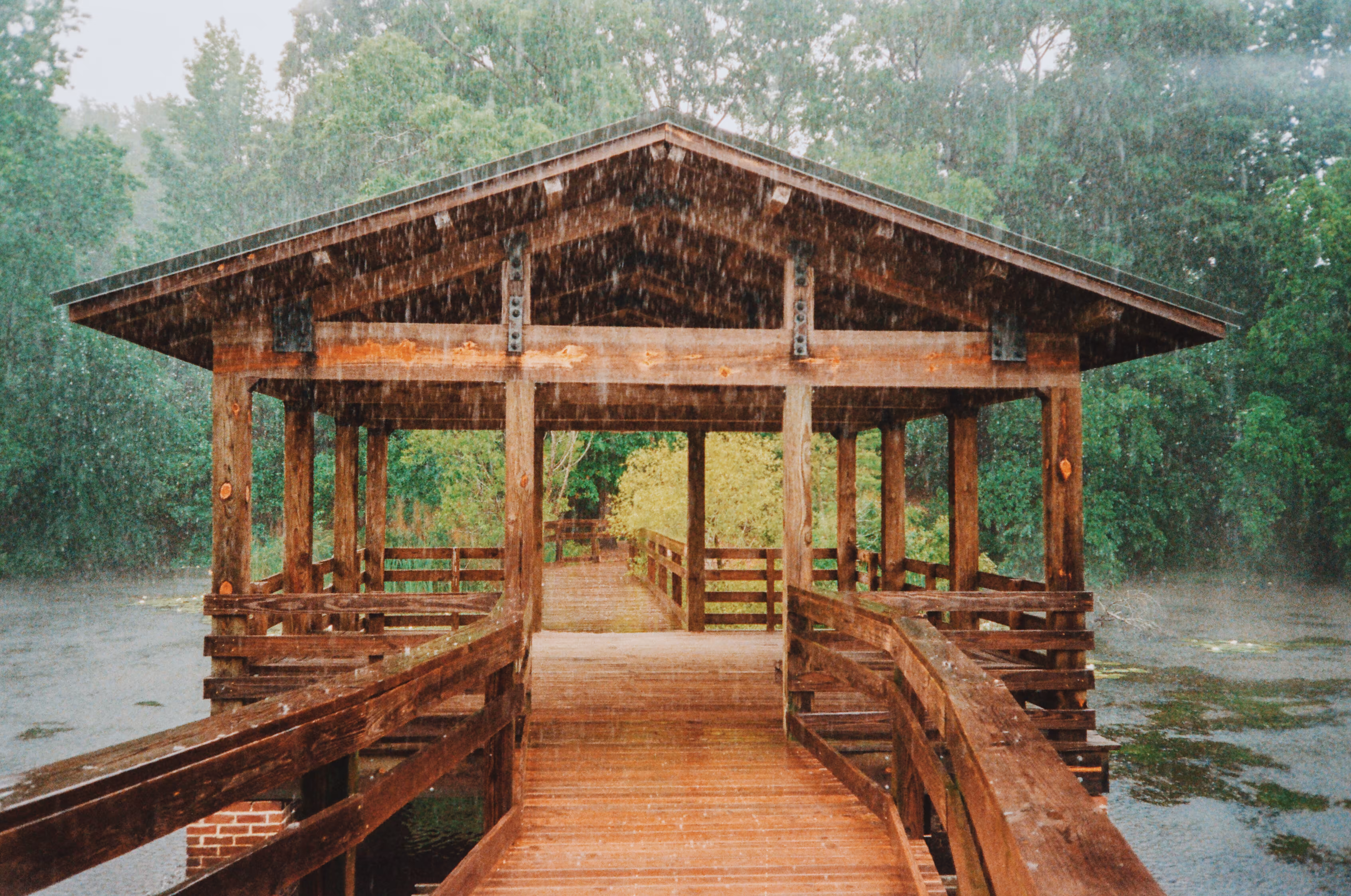 Shelter from the Storm