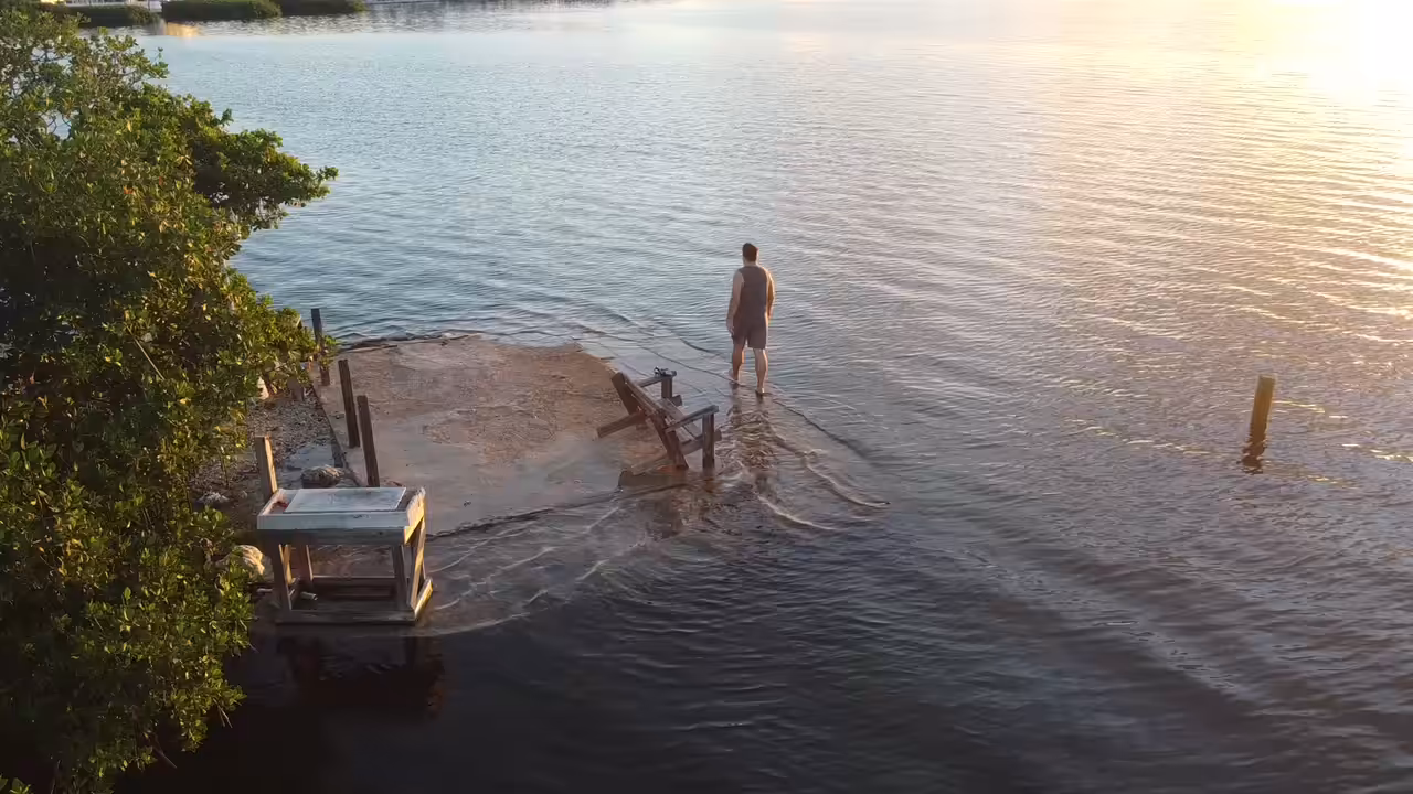 Islamorada Florida Keys -7 Mile Bridge - Manatee Sighting - Drone Footage NFT