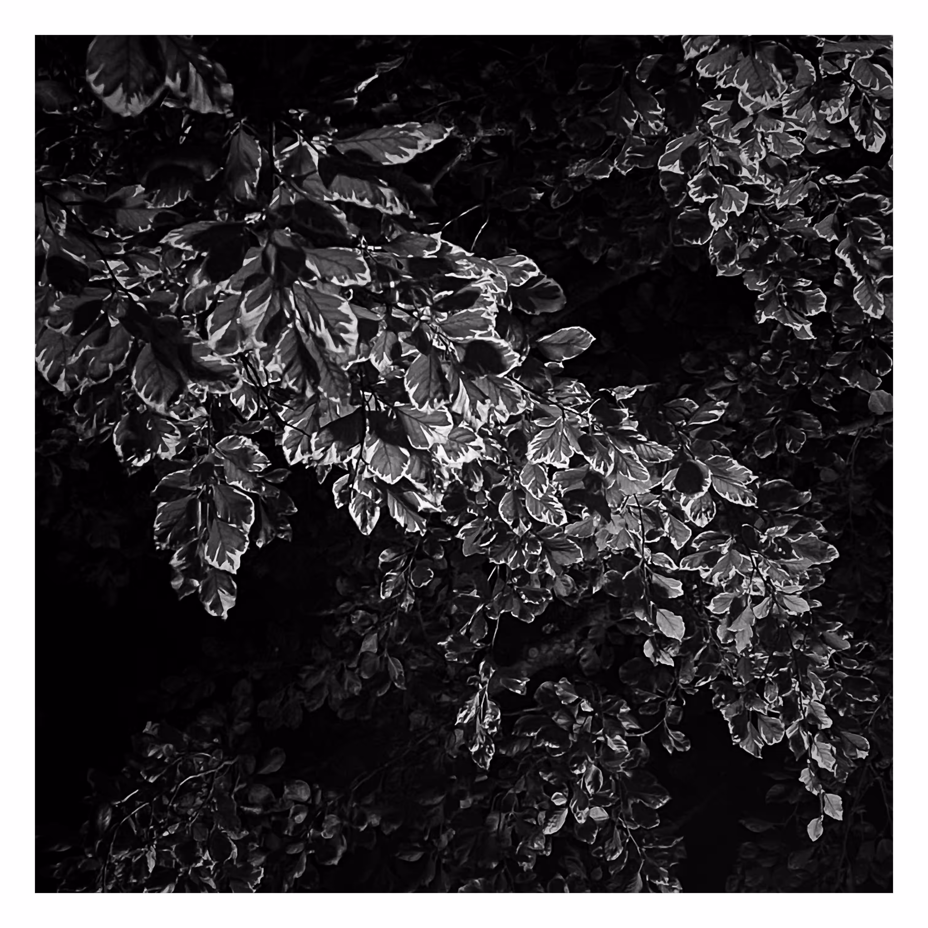 Stroll: July 22, 2023 • 10:52pm