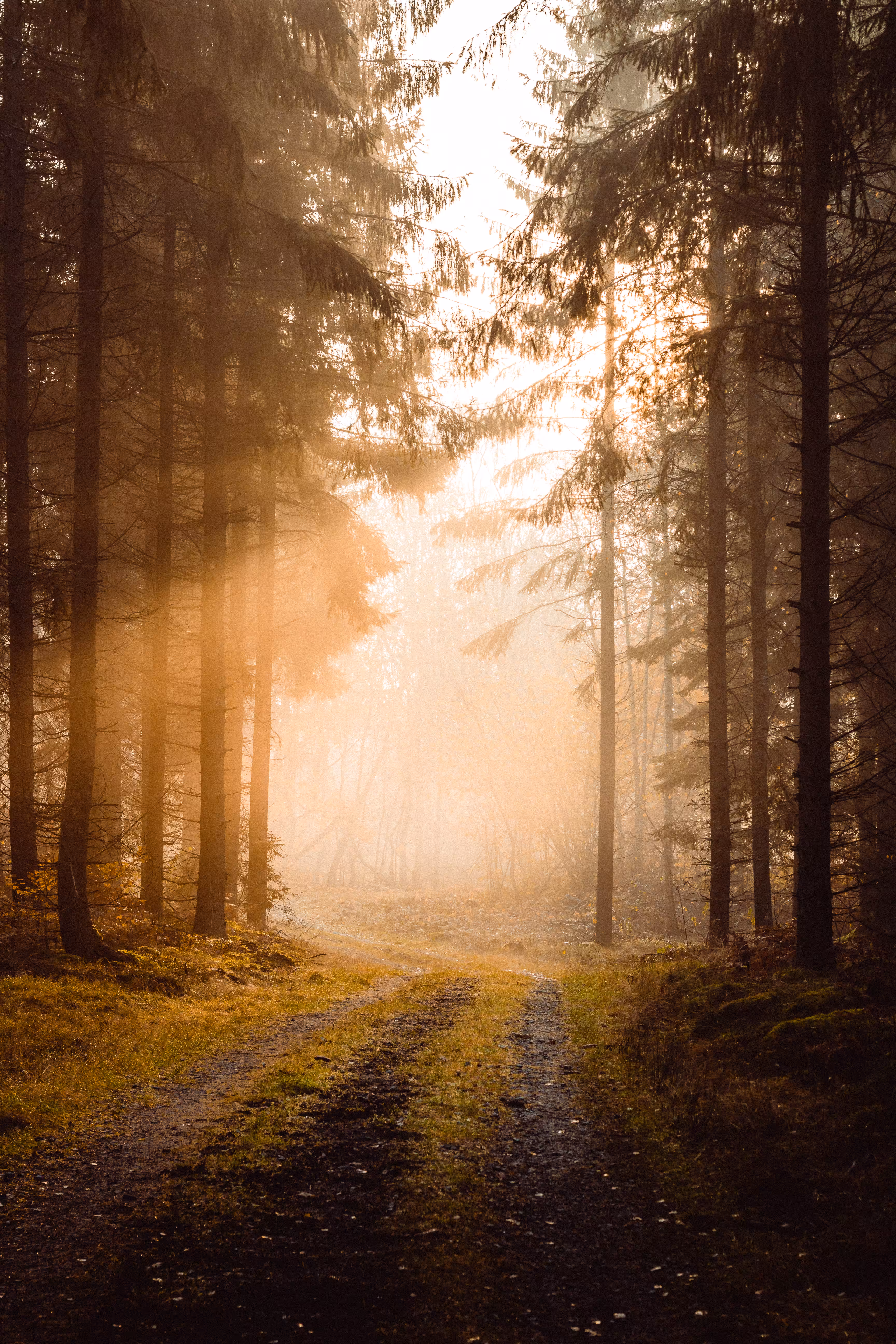 Magical sunrise