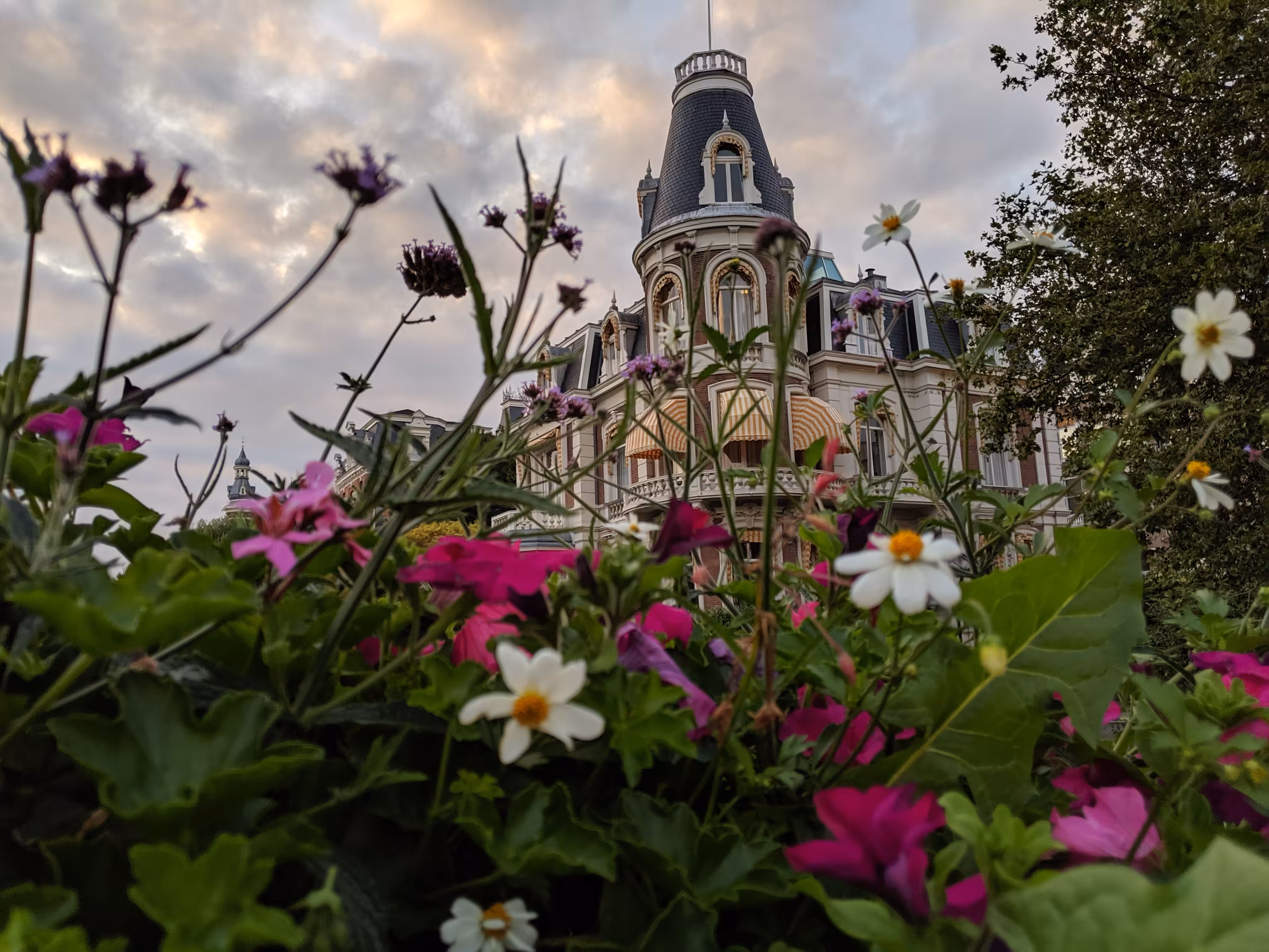 Enchanted Village