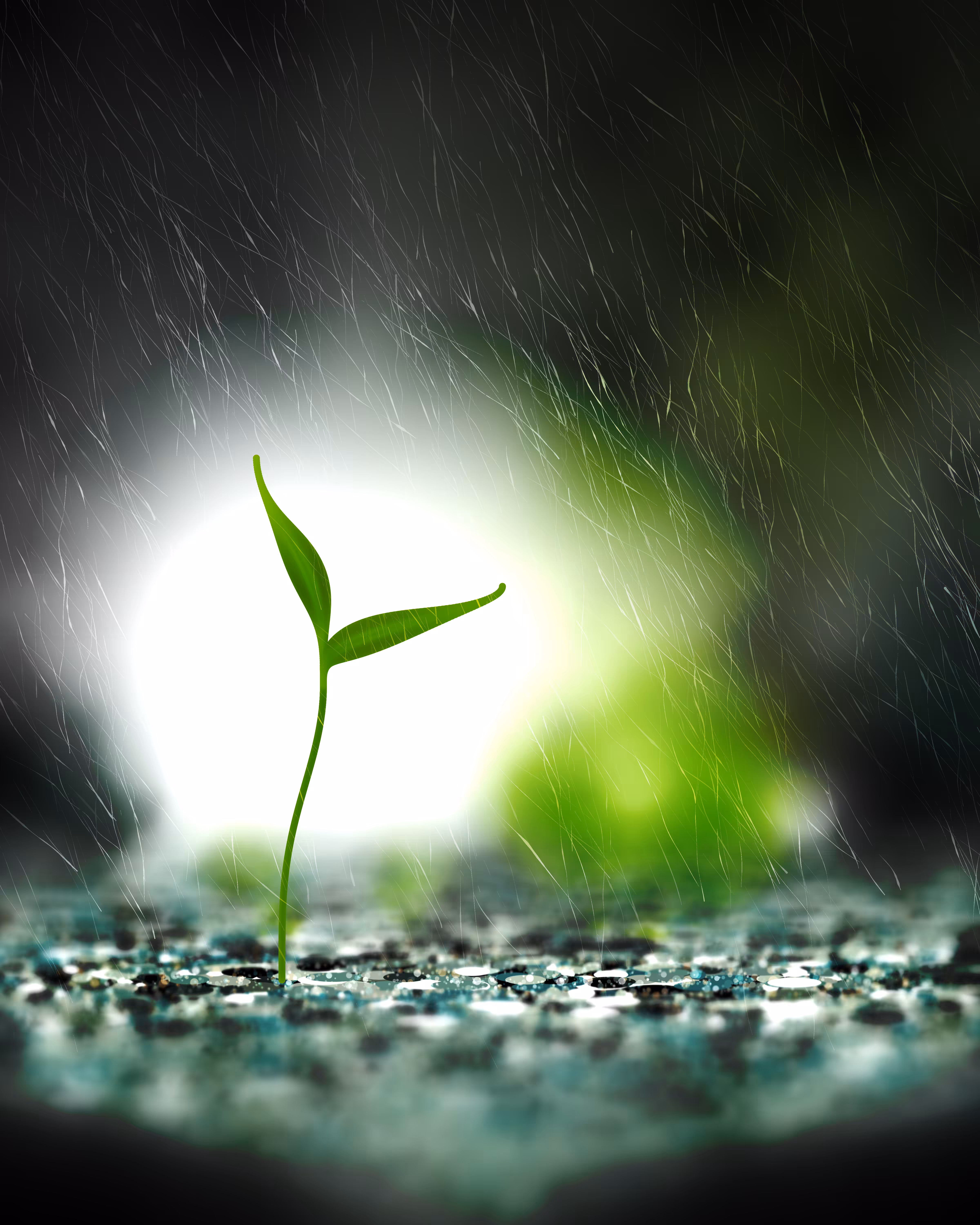 Take Root #9