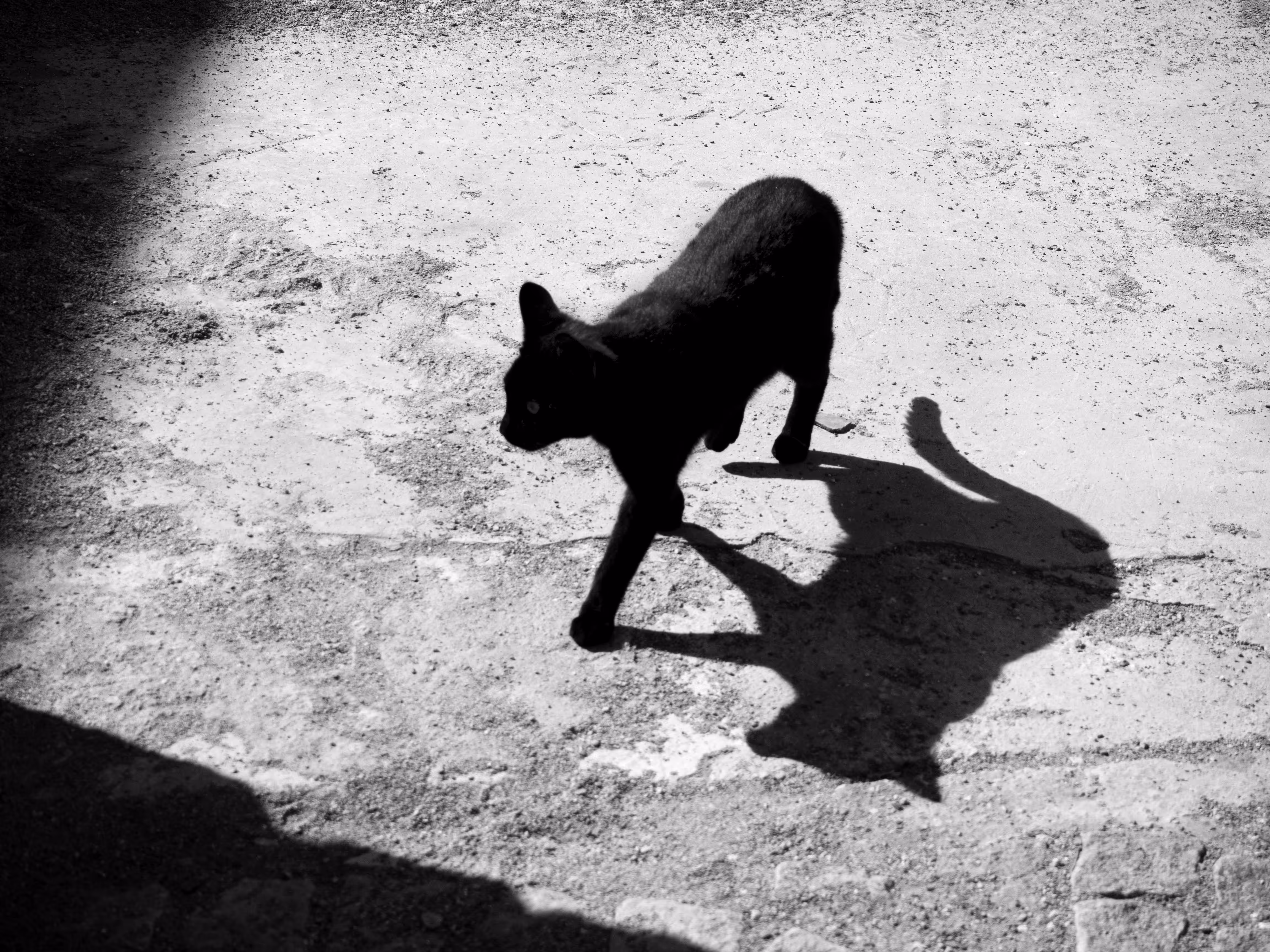 Blacky