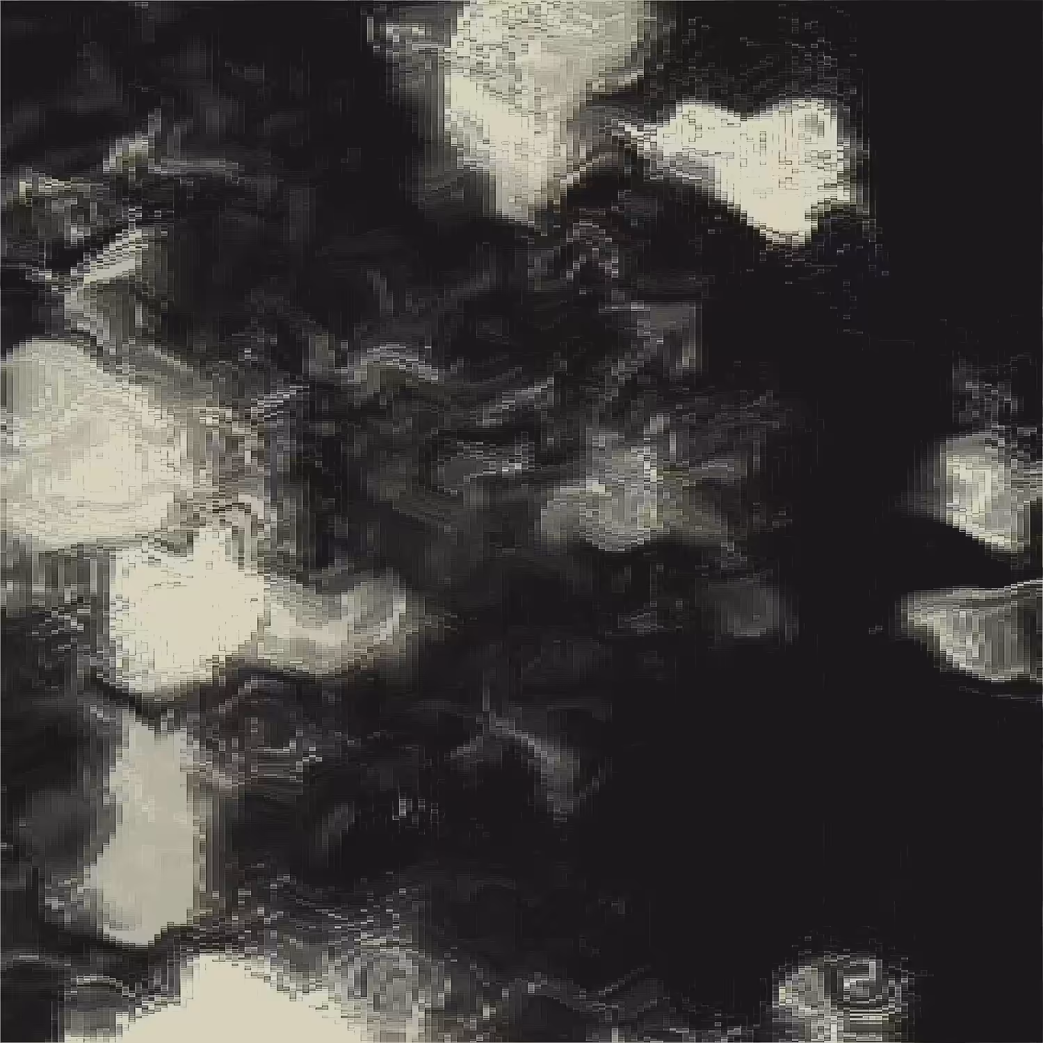 Drowned Mushrooms