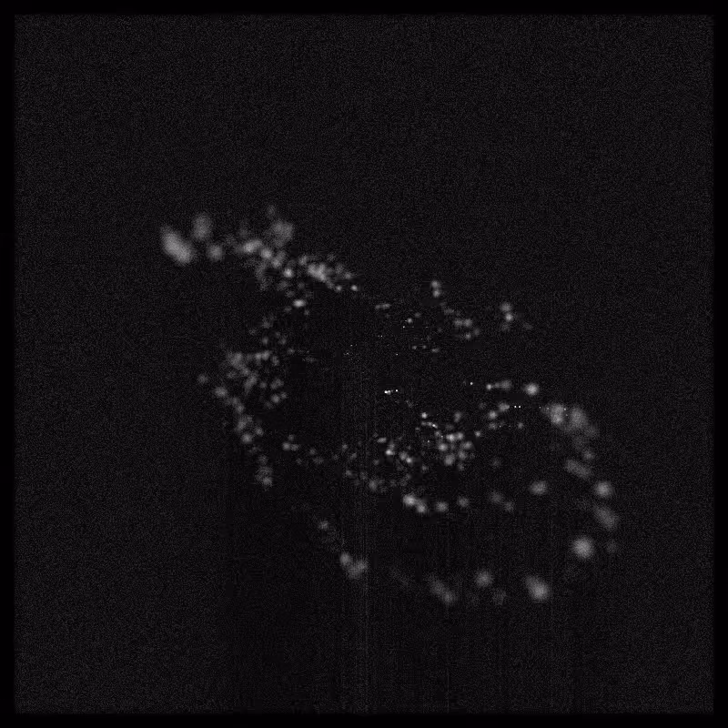 Rays & Dust #128