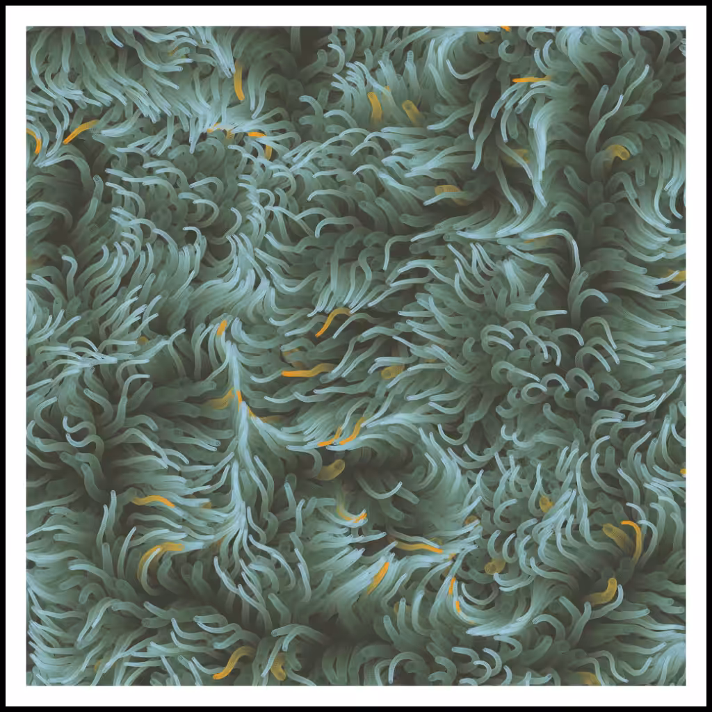 Studies of Motion  #29